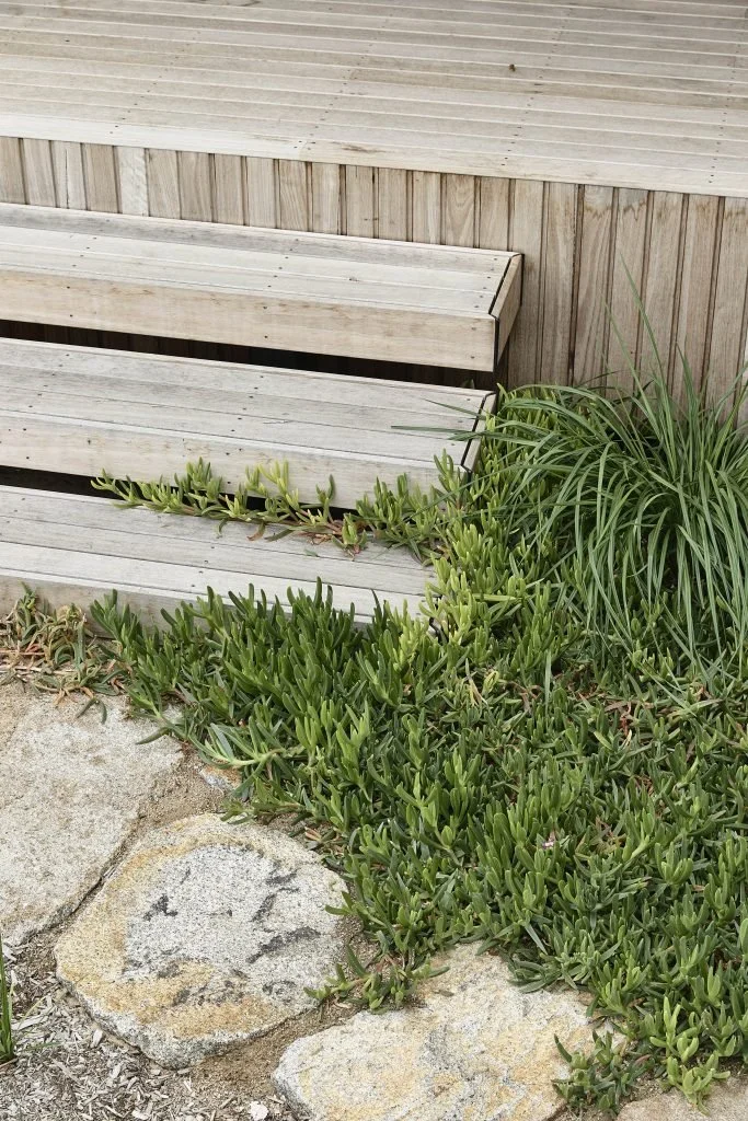 Wooden bench near plants and rocks outside.