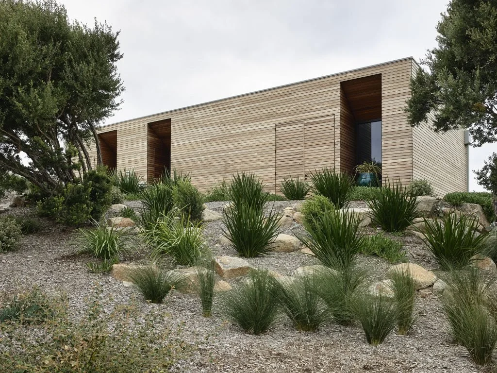 Modern house with wooden exterior on a hill surrounded by drought-resistant plants and shrubs.