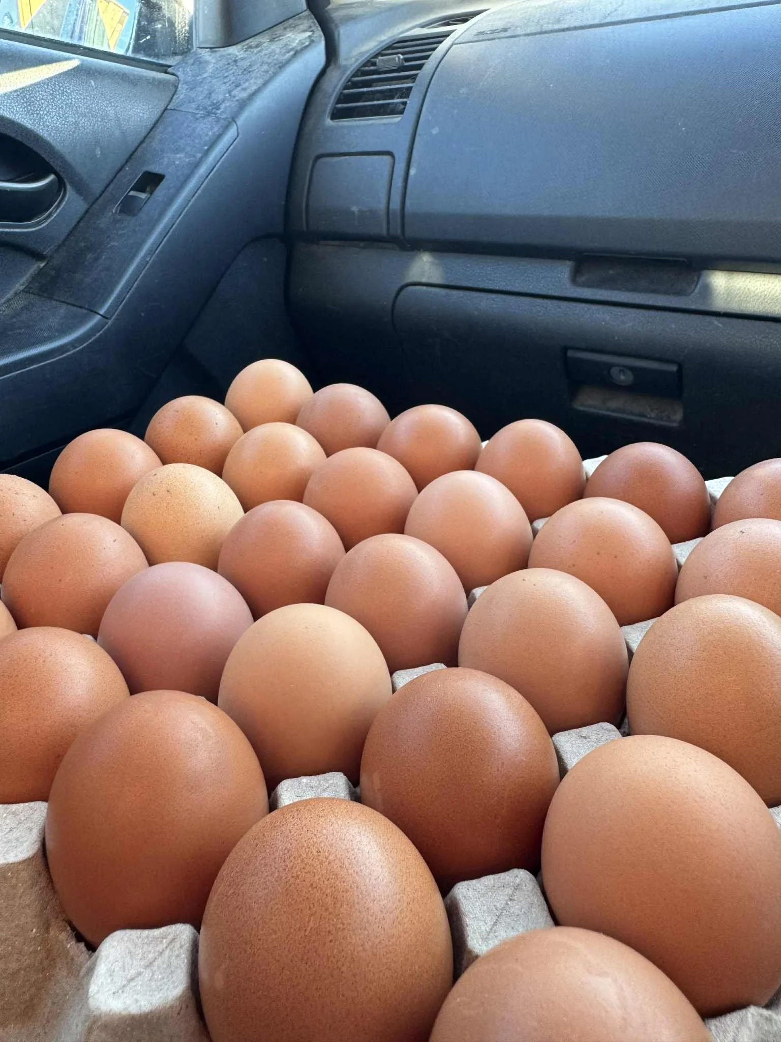 A tray of brown eggs inside a vehicle, possibly on a passenger seat or cargo area.