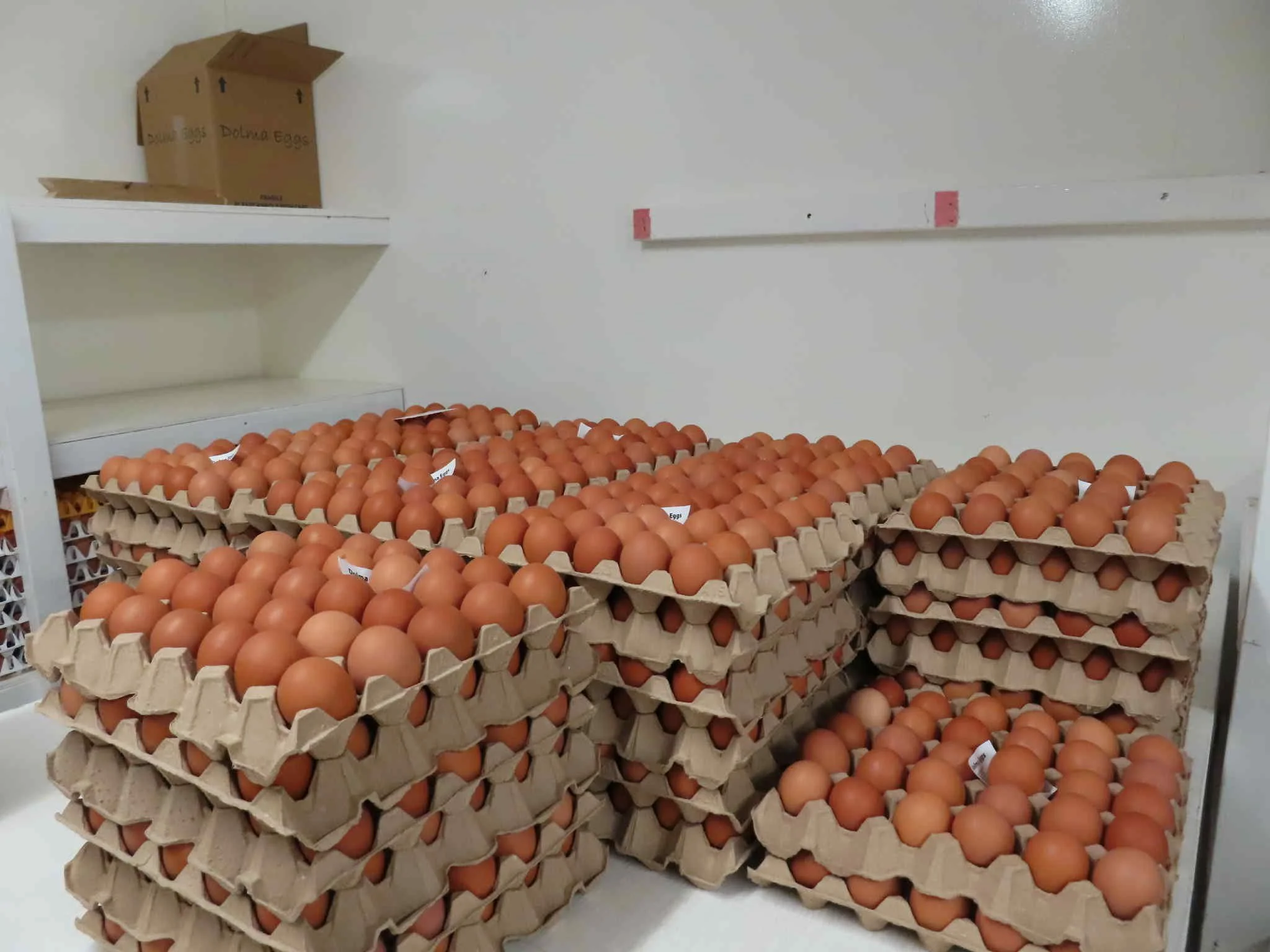 Egg cartons filled with brown eggs stacked on a white surface in a room with white walls.