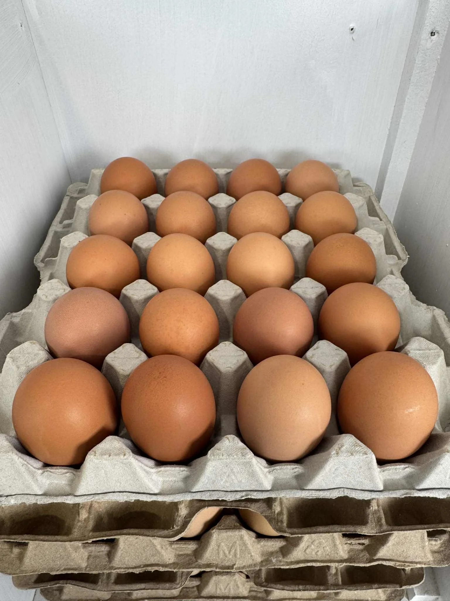 Multiple cartons of brown eggs stacked in a store display with a clear plastic sign reading "Dolma Eggs" on a white countertop.
