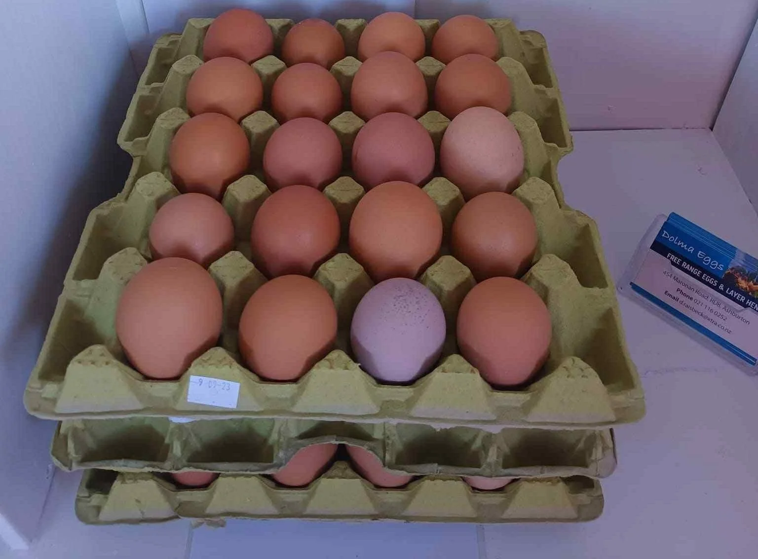 Three cartons of brown eggs stacked on a white surface near a sign that reads 'DOLMA EGGS, FREE RANGE EGGS & LAYER HENS, 454 Martoni Road, Auburn, Phone 334-0452, email: dsmc1964@casair.com'.