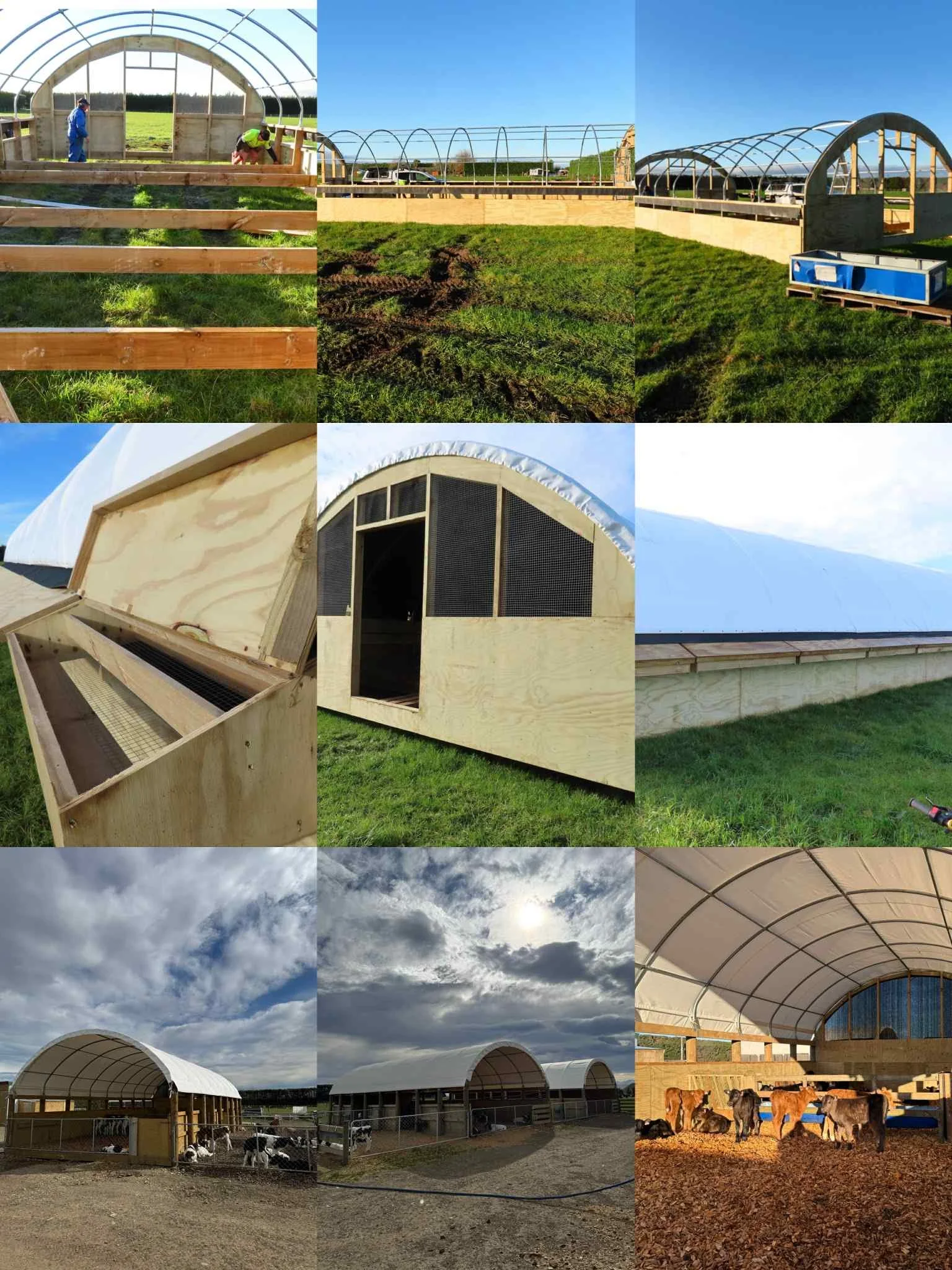 A collage of images showing the construction of a greenhouse and farm buildings on a farm. The first row shows the framework of greenhouses being built with workers installing the structure. The second row shows close-up views of the wooden construction of smaller structures, including a curved roof and a ventilation opening. The third row displays completed farm buildings with arched roofs, some with animals inside and outside, and the final image shows the inside of a greenhouse with animals.