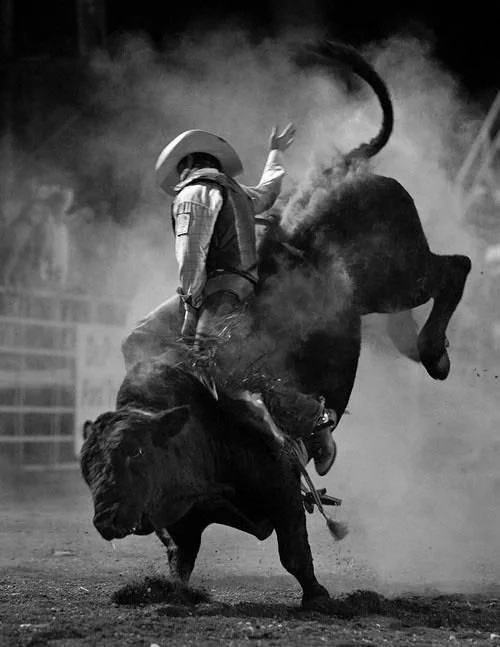Pin on *bull riding*yee-haw.jpg