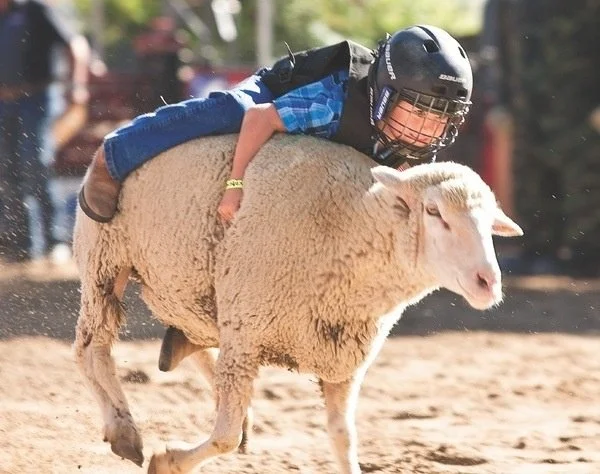 Muttin' Bustin'_ Done did