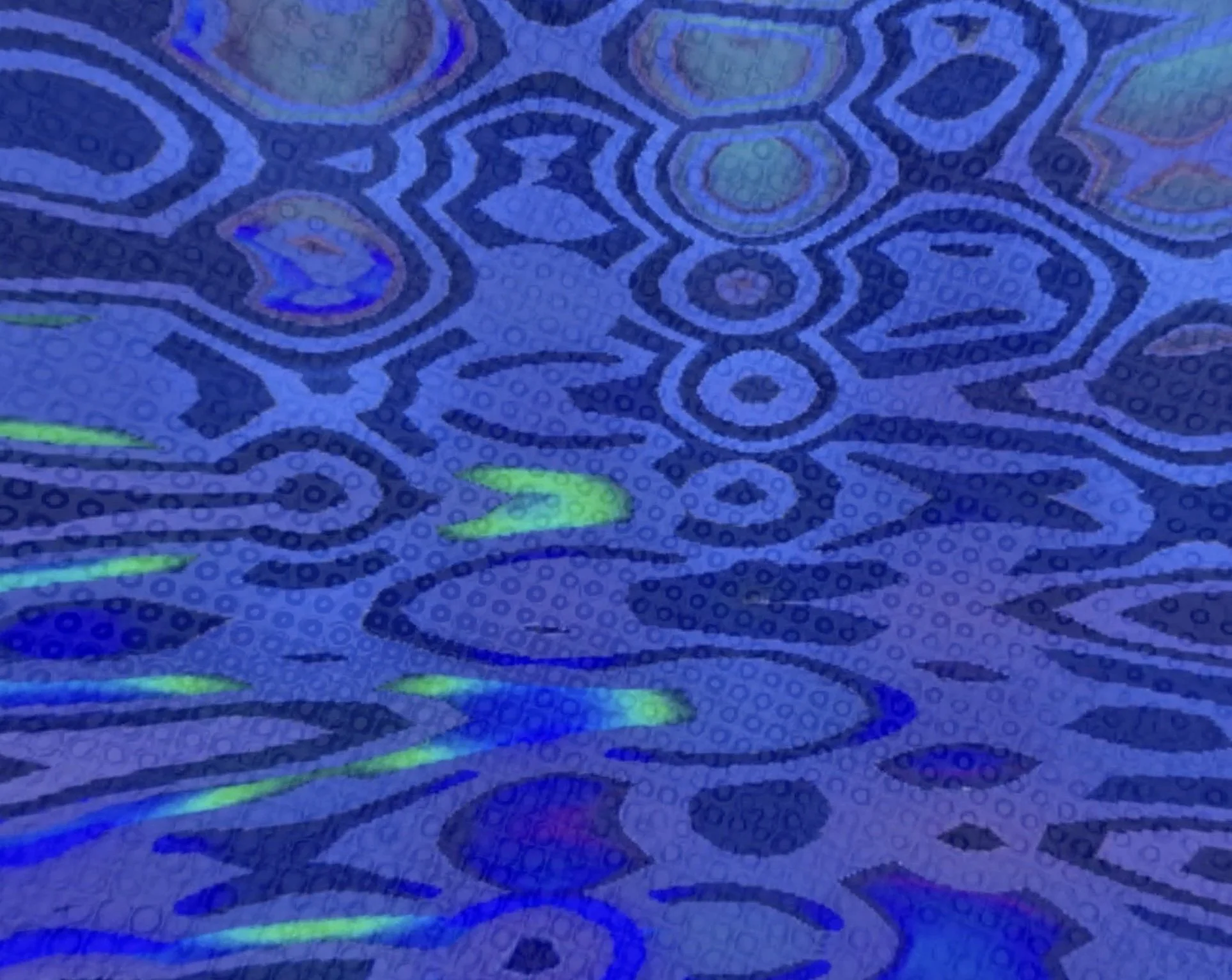 Image 8-10-25 at 9.53 PM.jpg