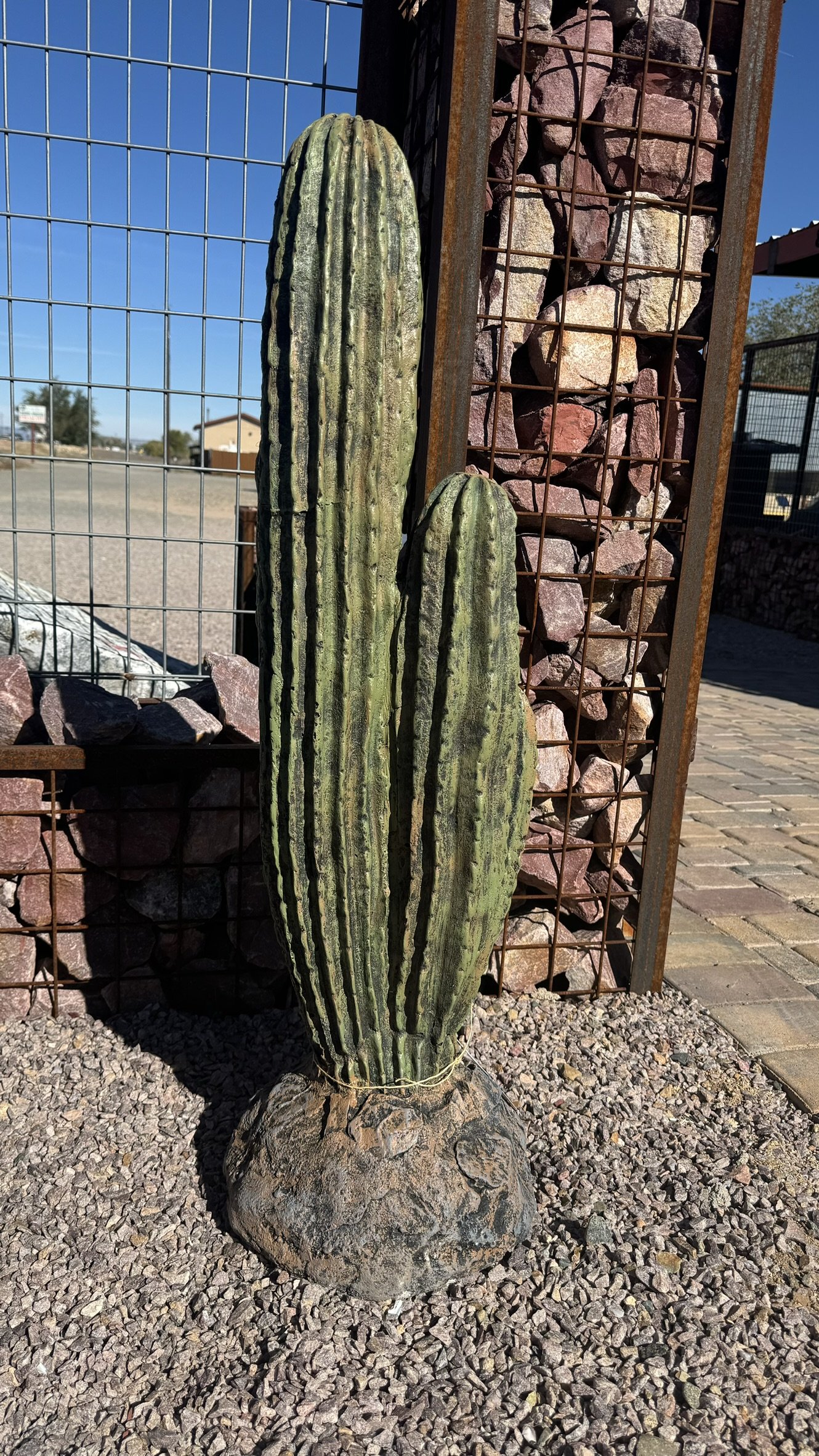 cactus.JPEG
