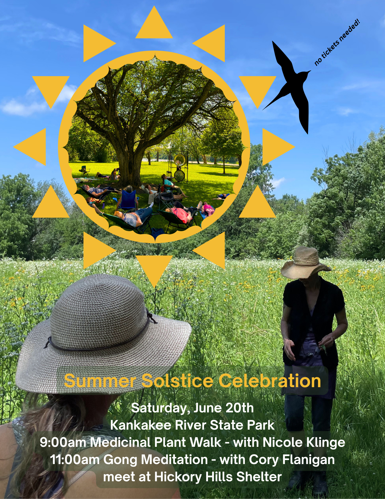 Summer Solstice Medicinal plant walk at Kankakee state park