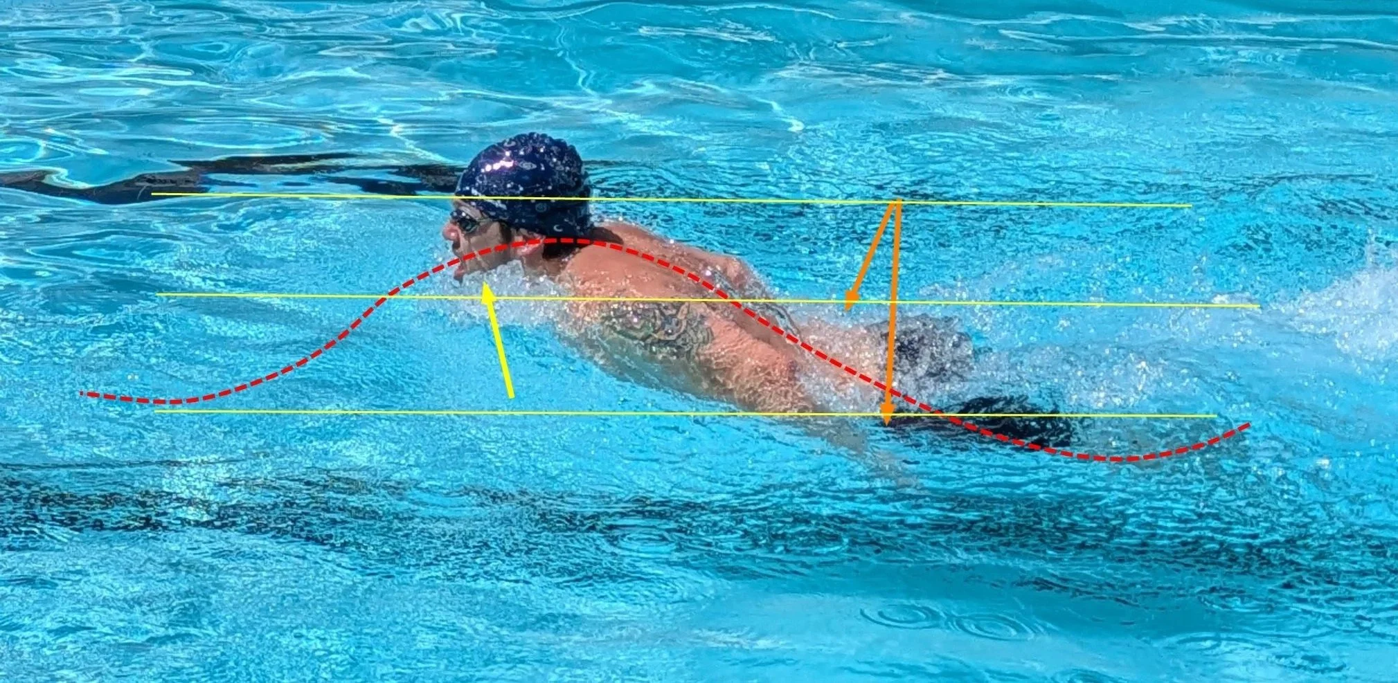 A swimmer in a swimming pool performing a stroke with body positioned horizontally, wearing a black swim cap and goggles. The image has markings illustrating the swimmer's body movement and arm position.