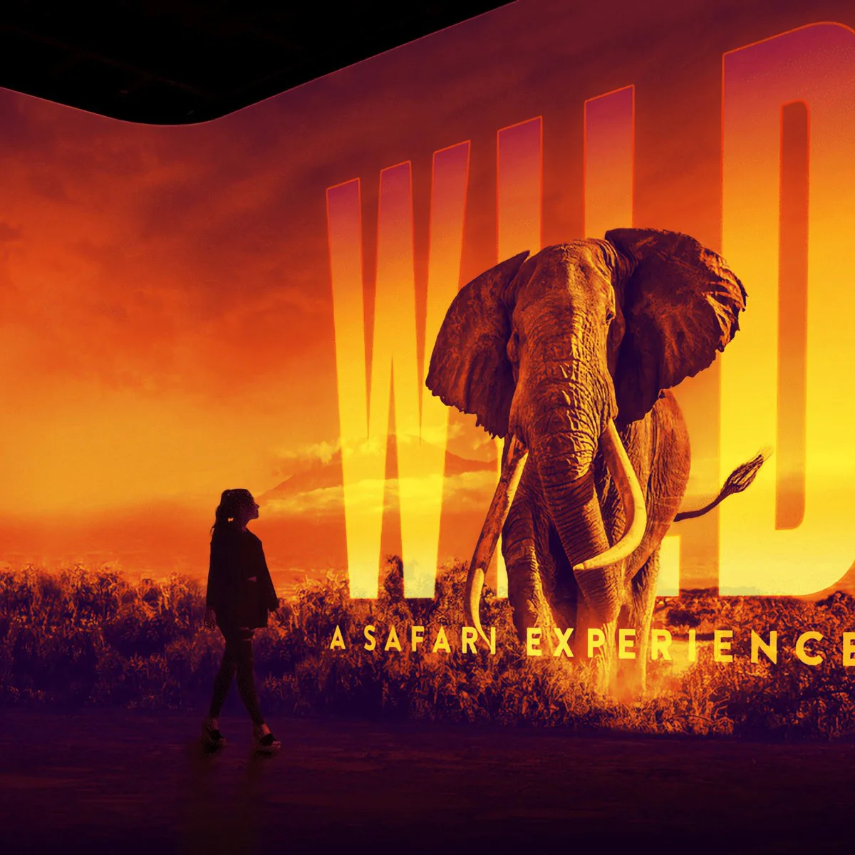 Illuminarium WILD.jpg