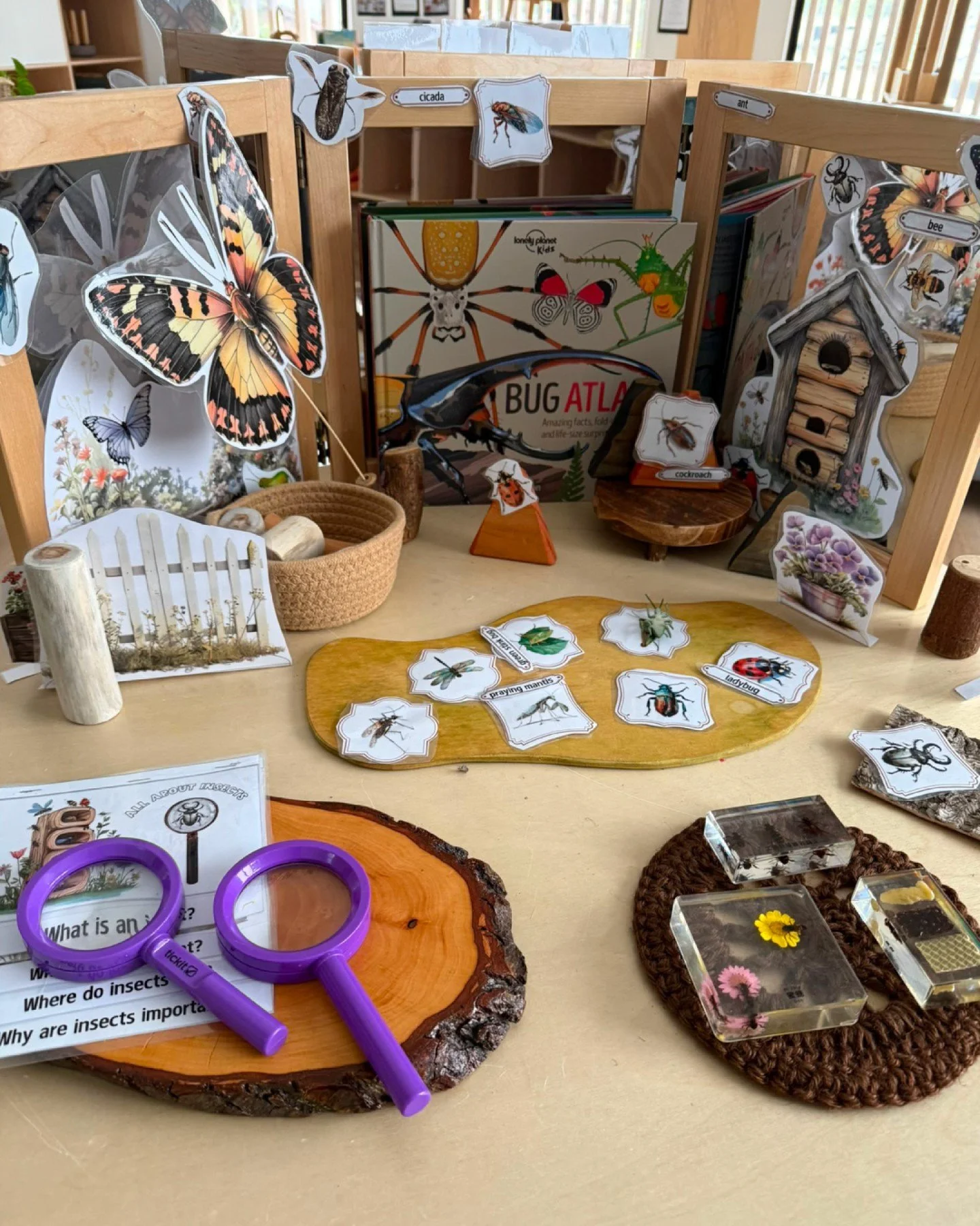 📚Books are so much more than words on a page - they are invitations to touch, imagine, investigate and play.

We recently put together a series of interactive book setups, pairing featured stories with tactile props to bring literacy to life, includ