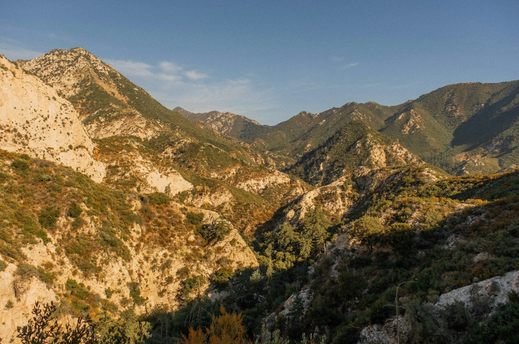 Why You Might Feel Worse 10 Months After the Eaton &amp; Palisades Fires, and How to Heal