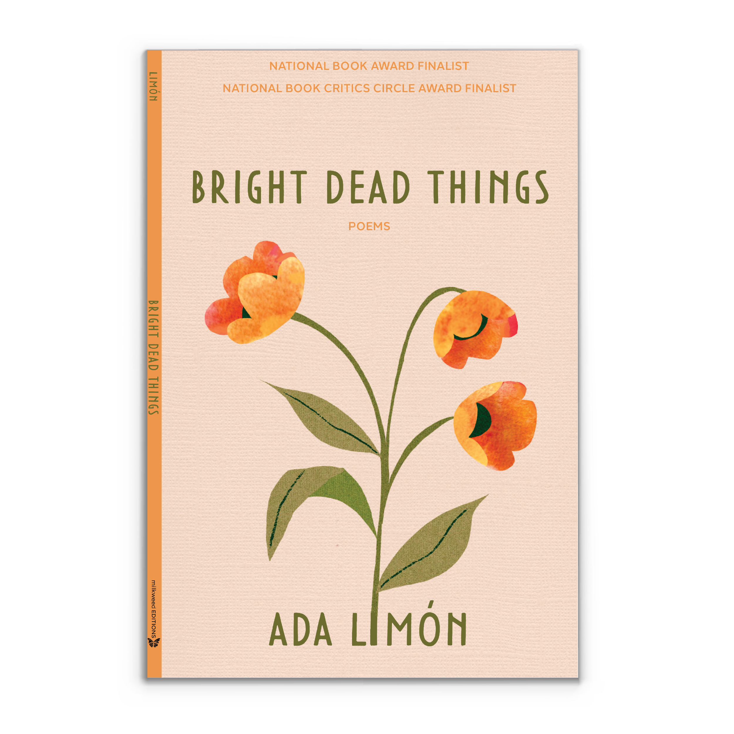 Bright Dead Things: Cover redesign Mock