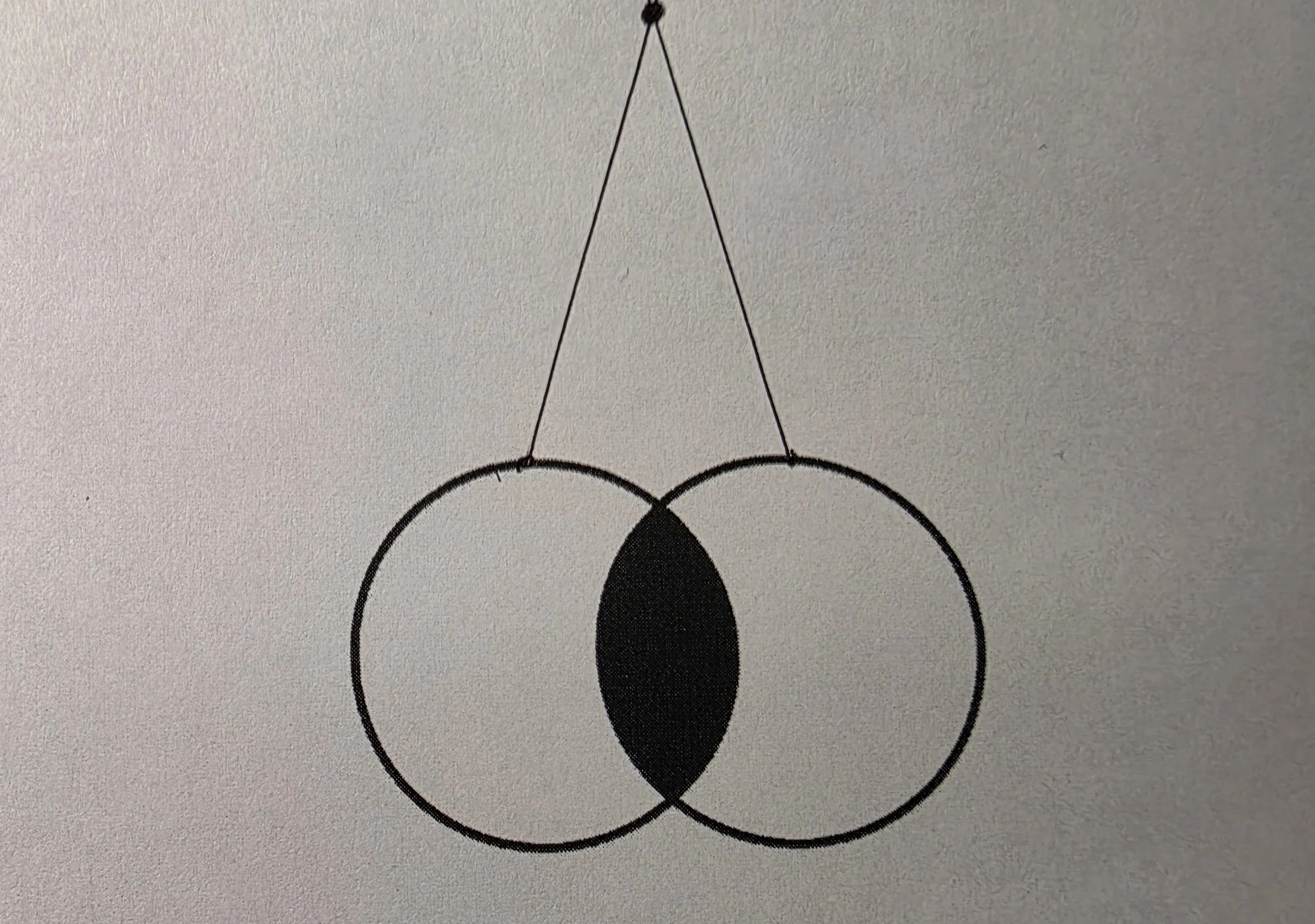 Happy Birthday, Venn!