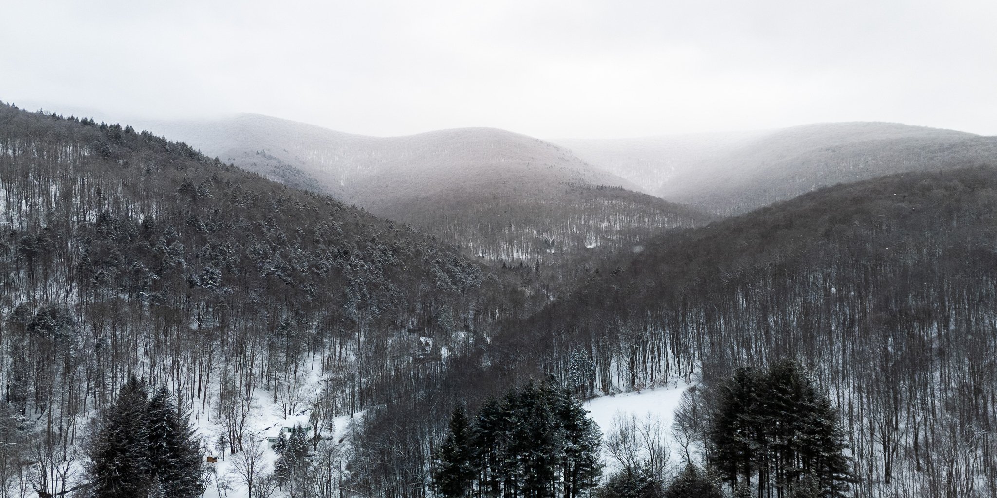DJI_20260126115453_0033_D.jpg