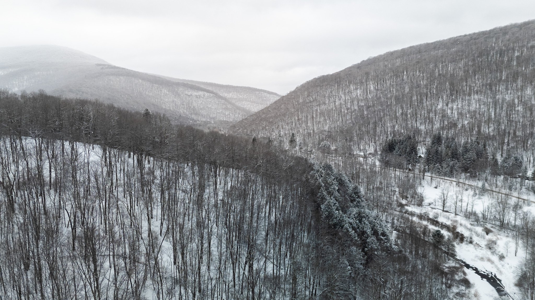 DJI_20260126115501_0035_D.jpg