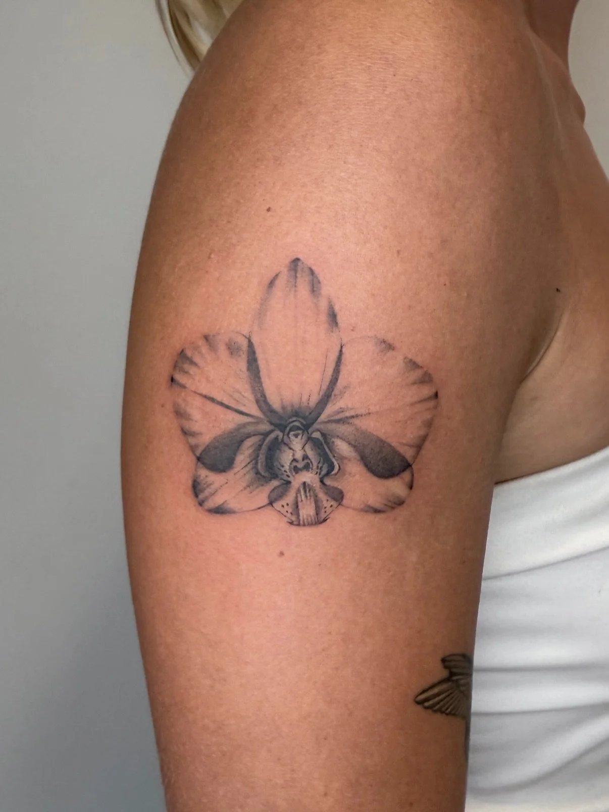 flower girll

#finelinetattooartist #patchworktattoo #microrealismtattoo #womantattoos