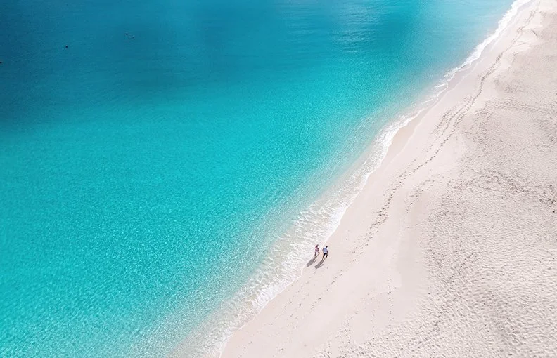 Lets Walk Paradise