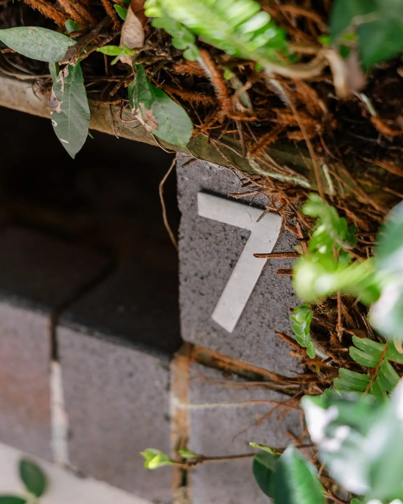 A great week for the Monger Building &amp; Construction crew. Demo complete at Wollstonecraft and the new frame is starting to take shape. Keen to get into the new week to finish the frame and start laying some beautiful 86mm spotted gum decking. 📸 