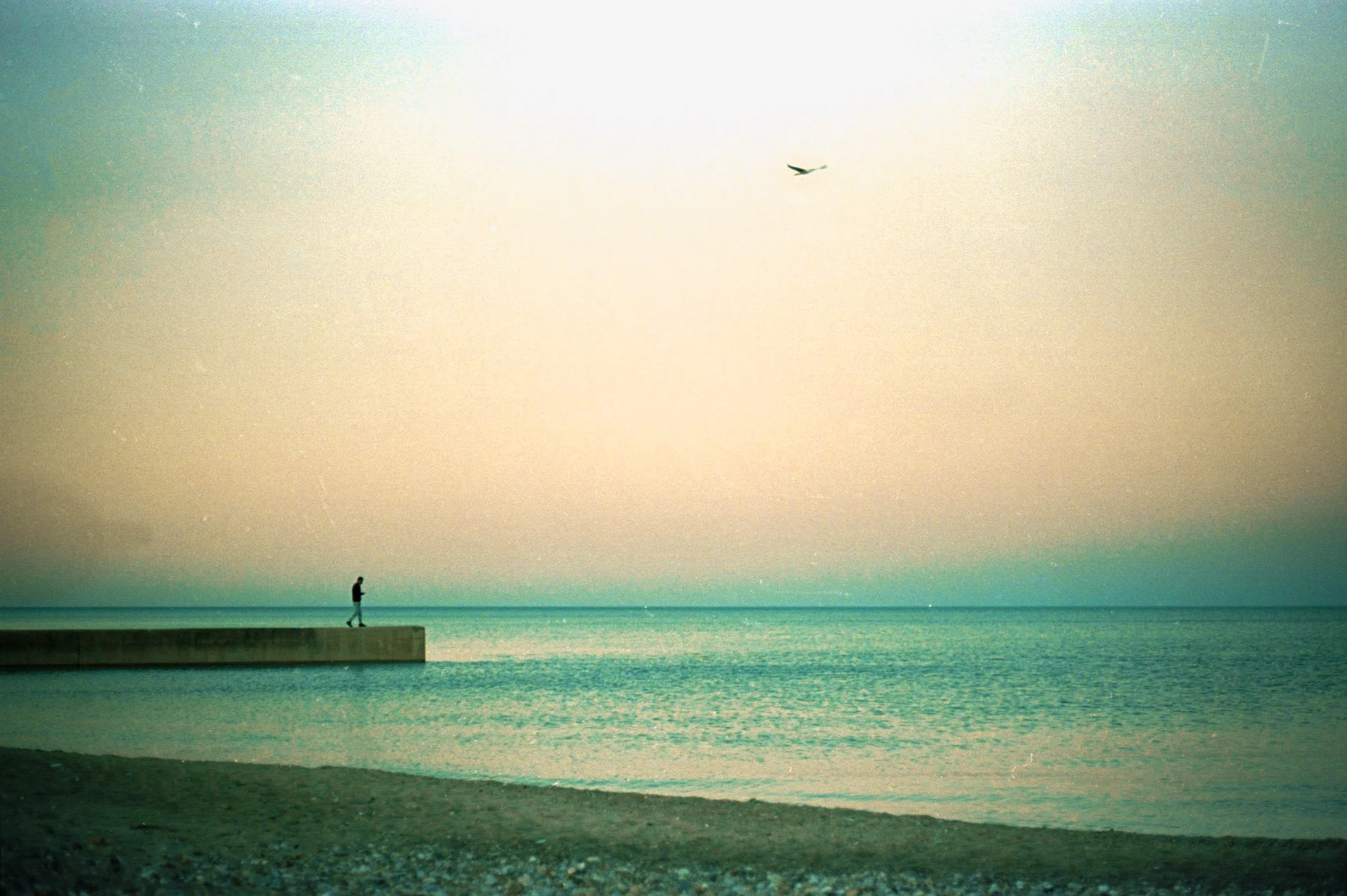 A Moment on The Lake.