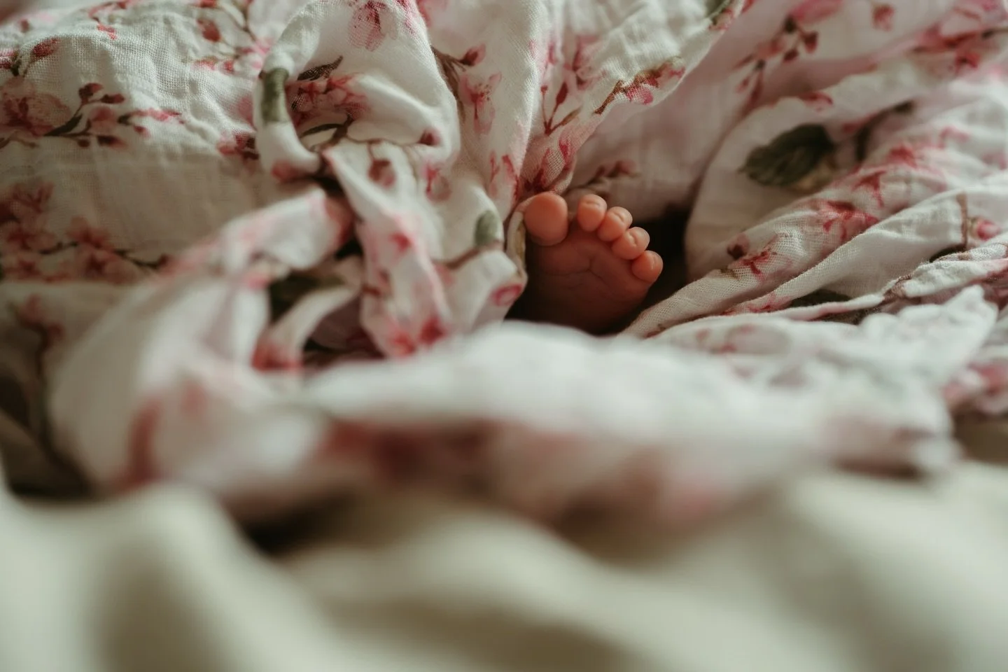 Tiny toes, quiet moments, a love that changes everything. Book your newborn session before this season slips by. 💫