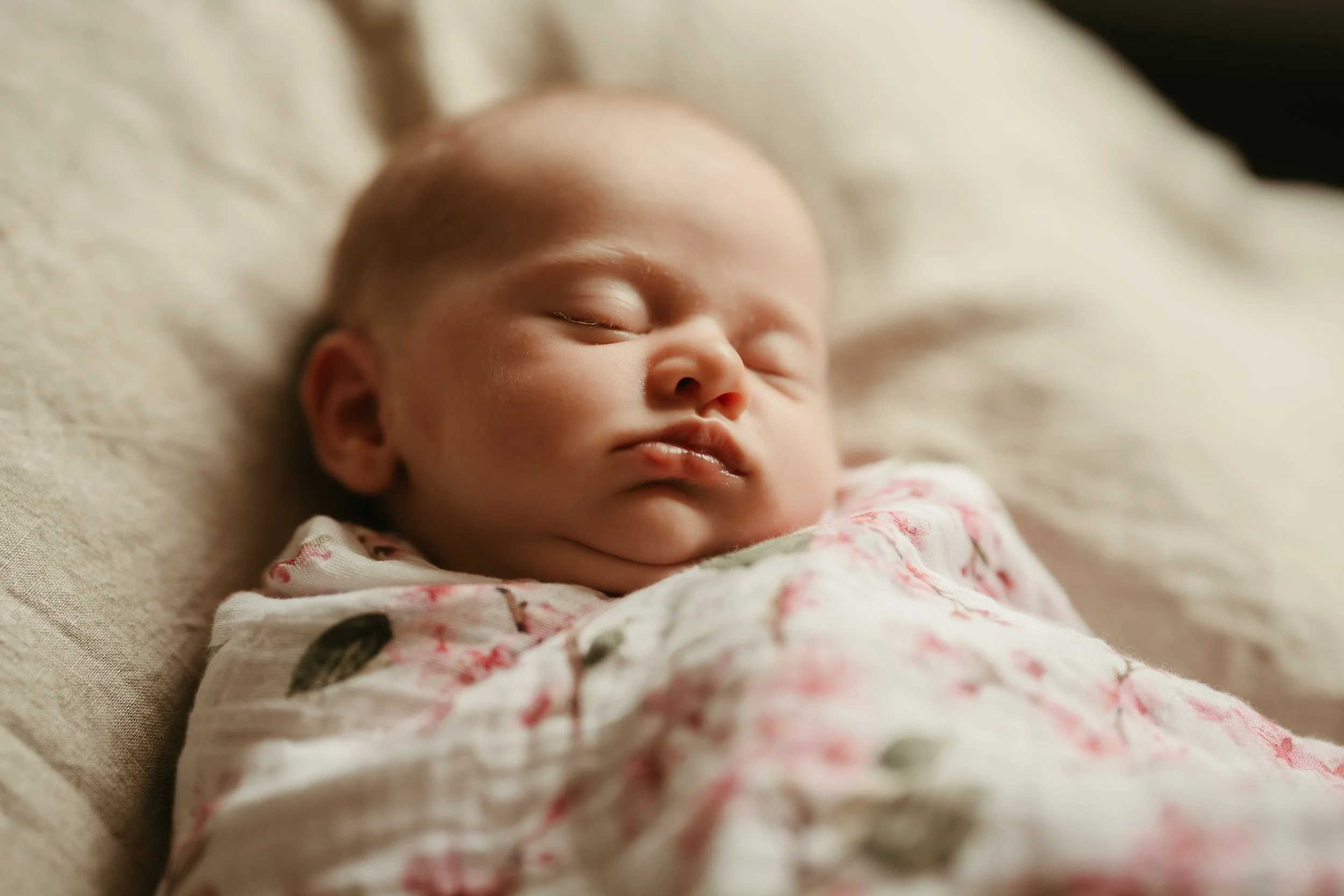 High Resolution-25 copy.jpg