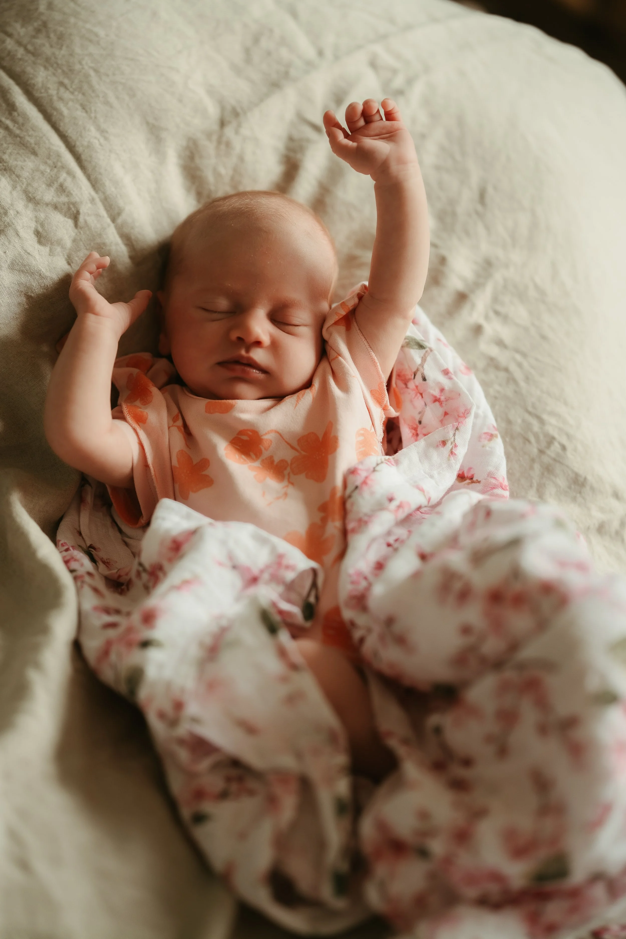 High Resolution-26 copy.jpg