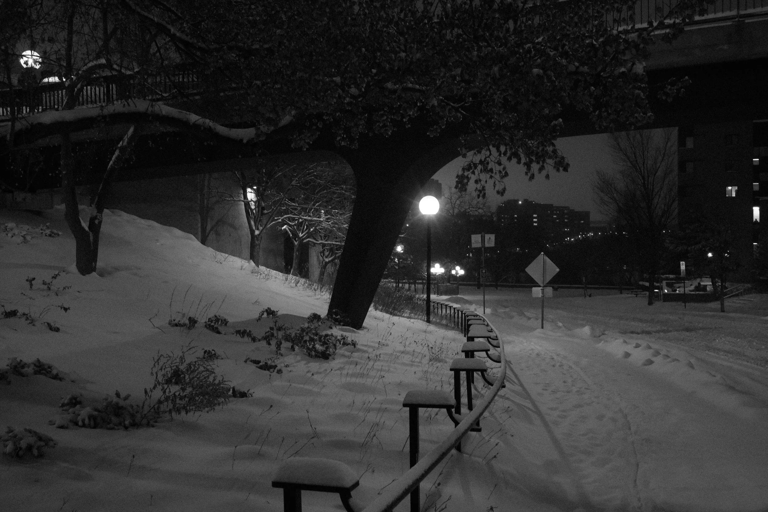 Snow-covered park with benches, trees, a bridge overhead, streetlights, and a cityscape in the distance at night.