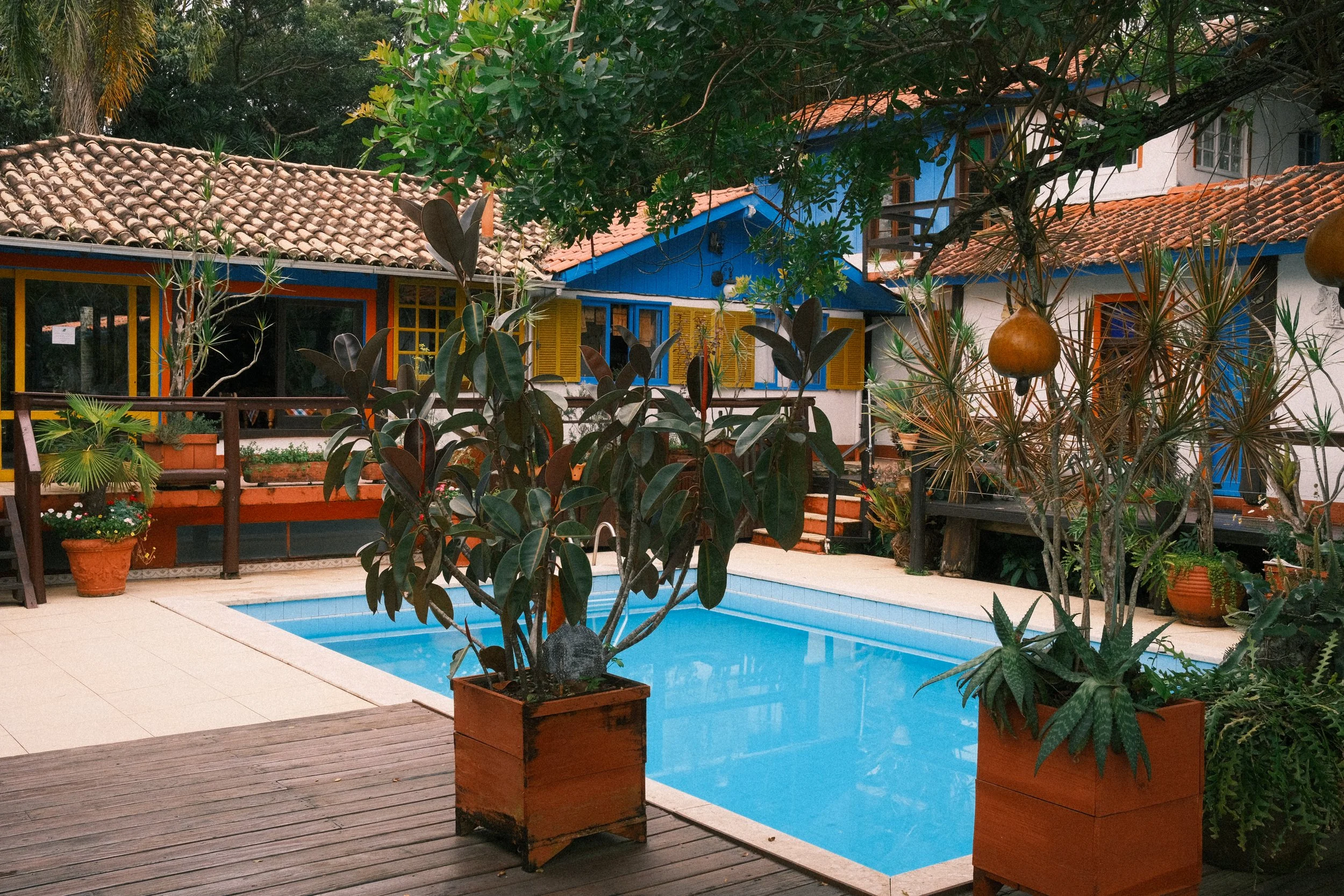 A backyard with a swimming pool surrounded by potted plants, trees, and colorful houses with red tile roofs and yellow-framed windows.