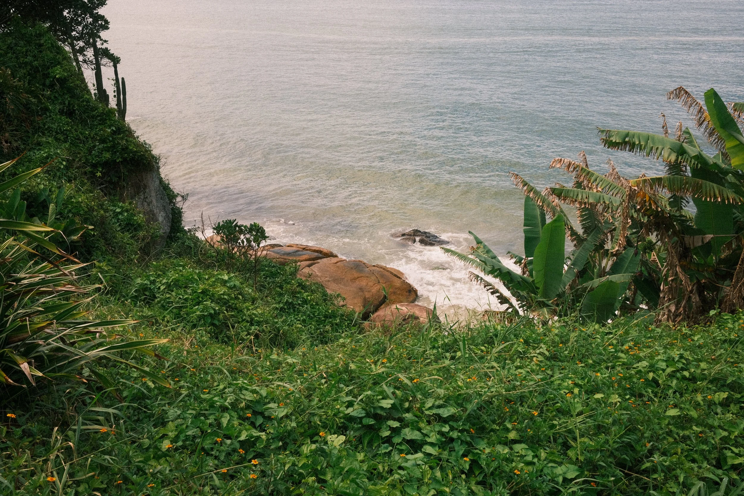A view of the ocean from a lush, green, tropical cliffside, with rocks and waves along the shore, and banana plants and other vegetation in the foreground.