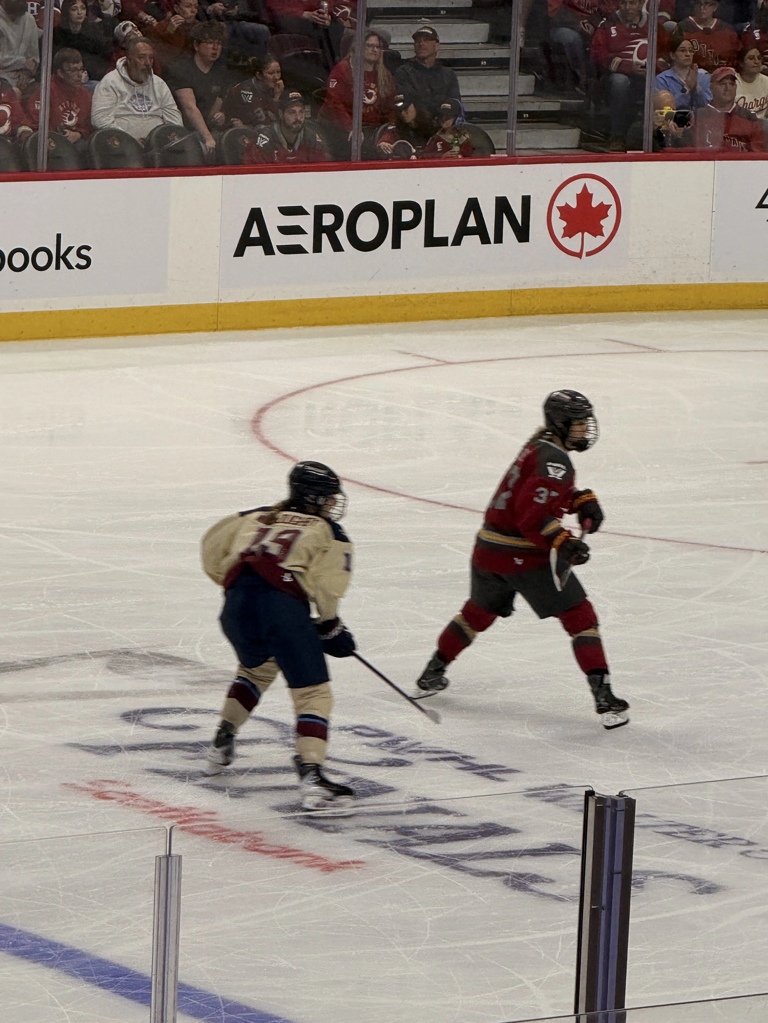 IMG_3266.JPG