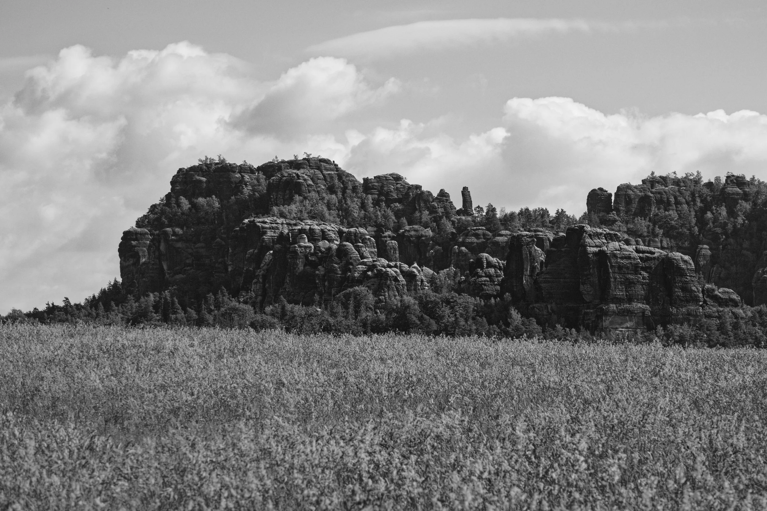 IMG_4762_TrailFrames_1.jpg