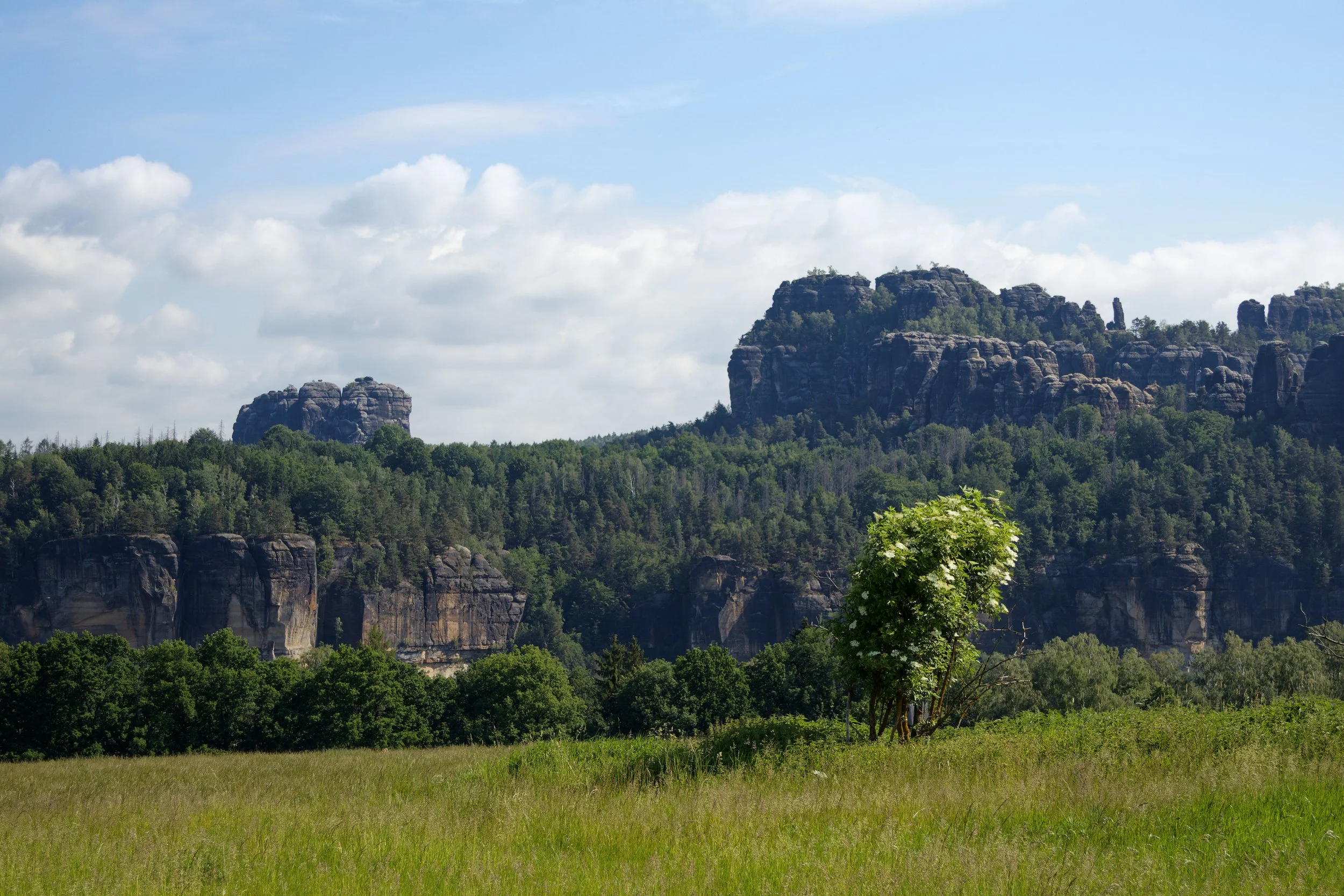 IMG_4771_TrailFrames.jpg