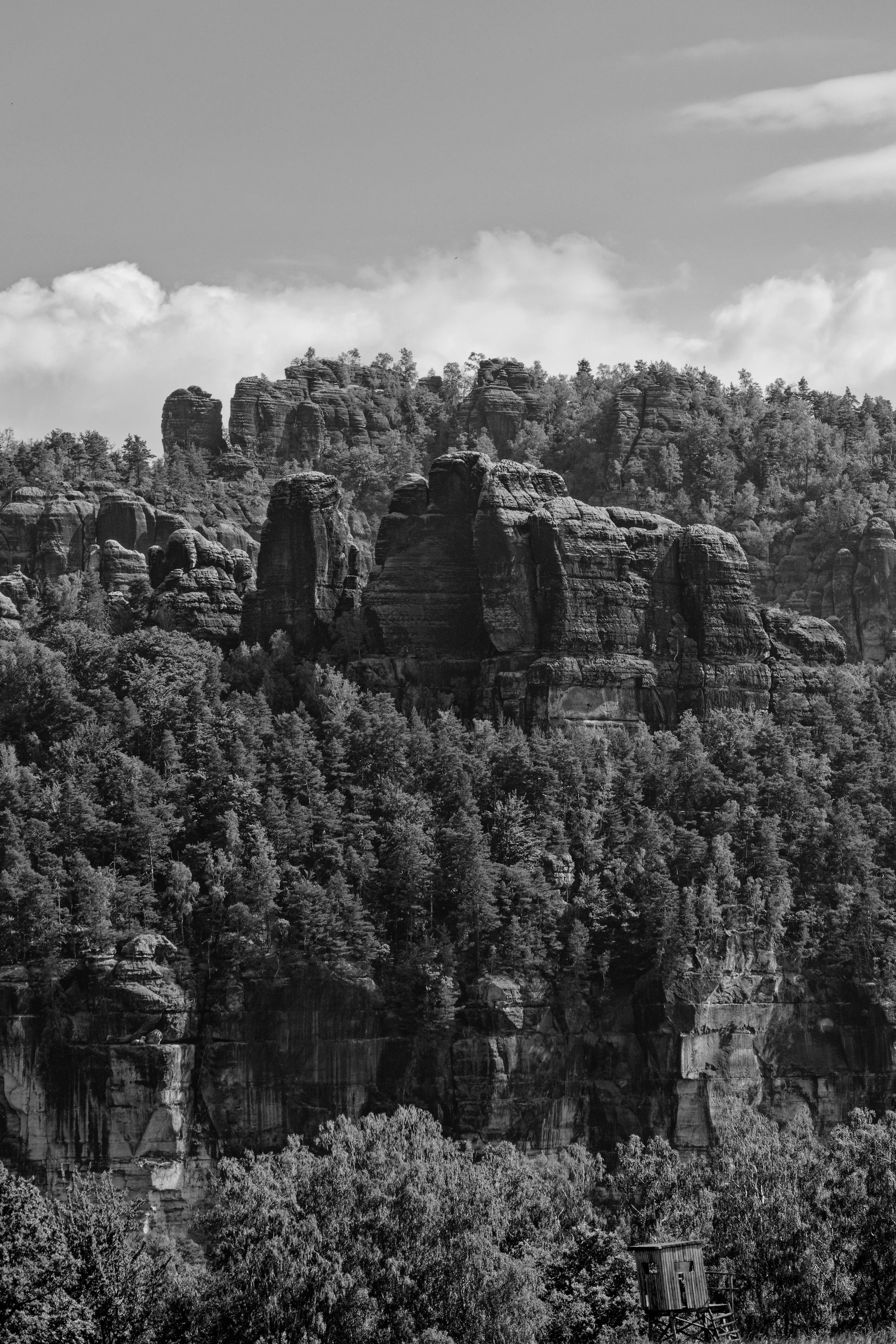 IMG_4777_TrailFrames_1.jpg