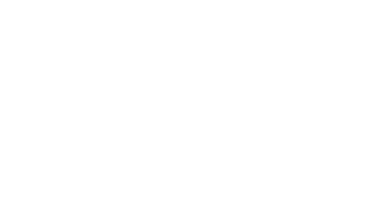THE WED CARPET