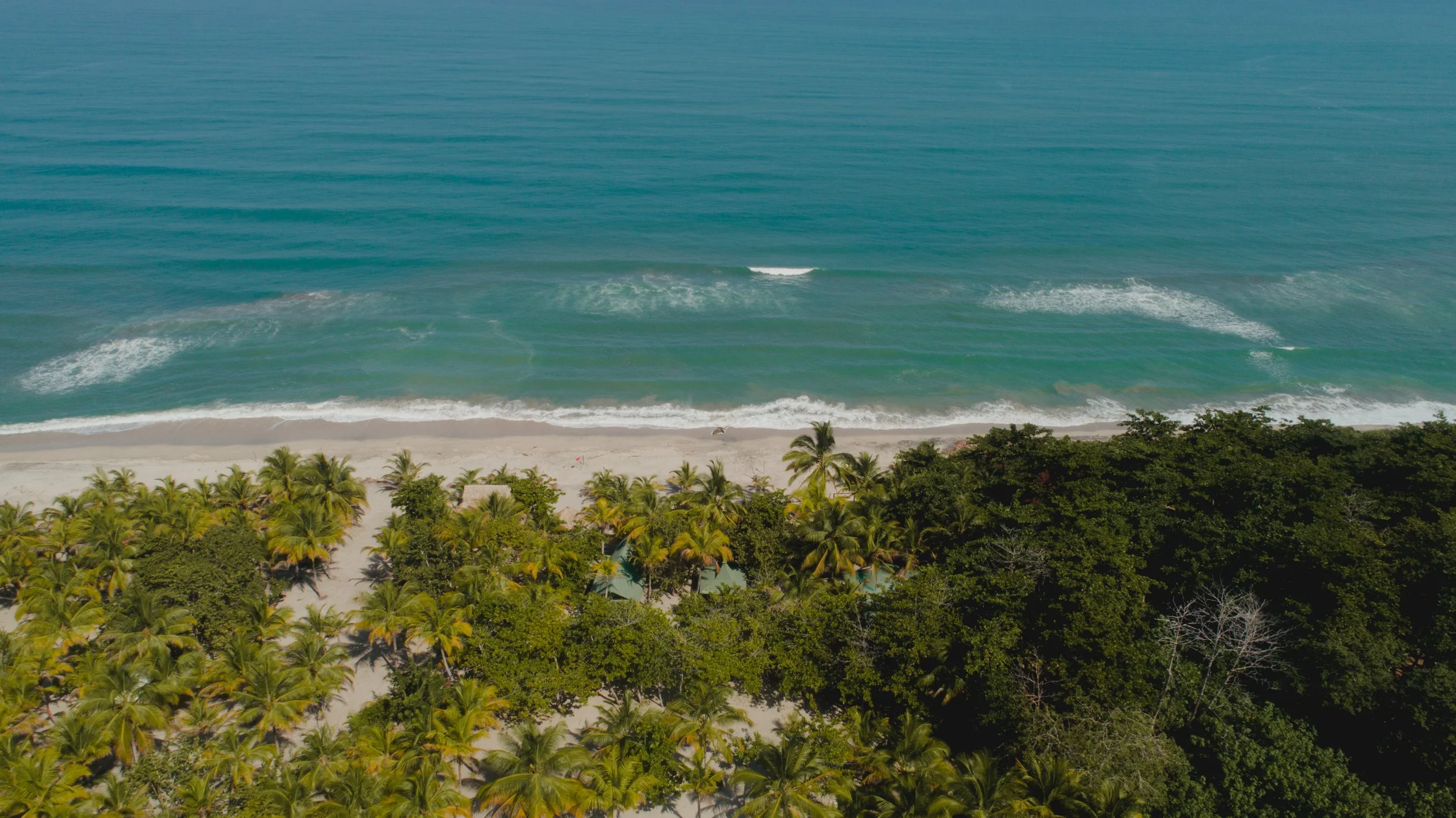 Vista aérea de la bahia exclusiva del hotel, en una playa con arena blanca y agua azul, rodeada de palmeras y vegetación selvática.