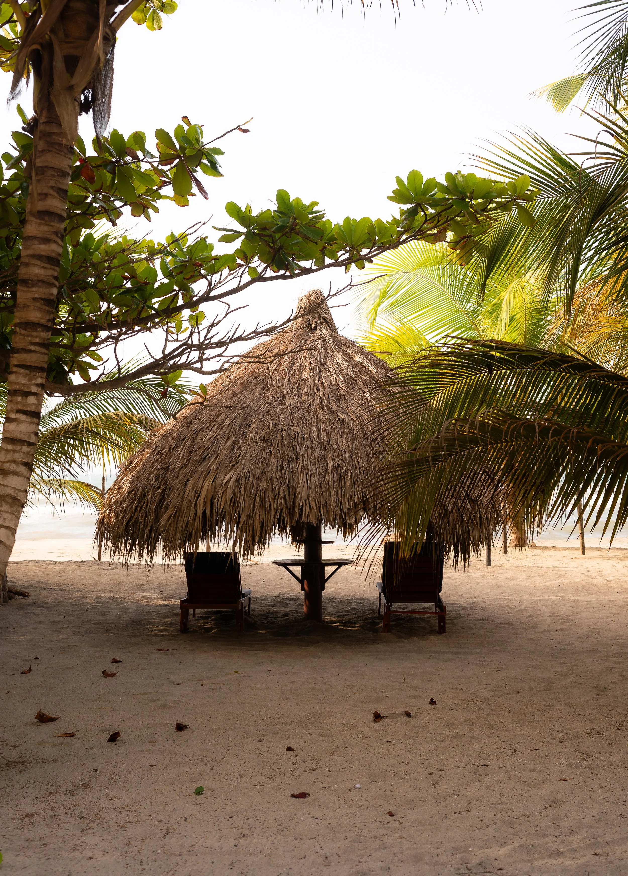 LA MAR DE BIEN-167.jpg