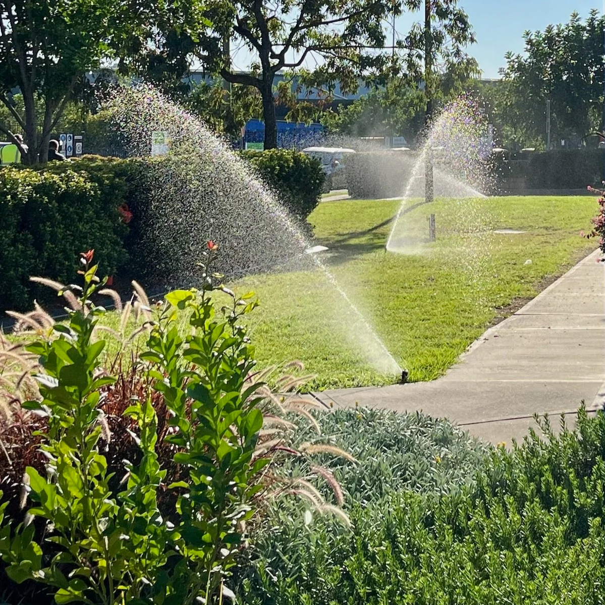 Irrigation - Planning Installation Maintenance