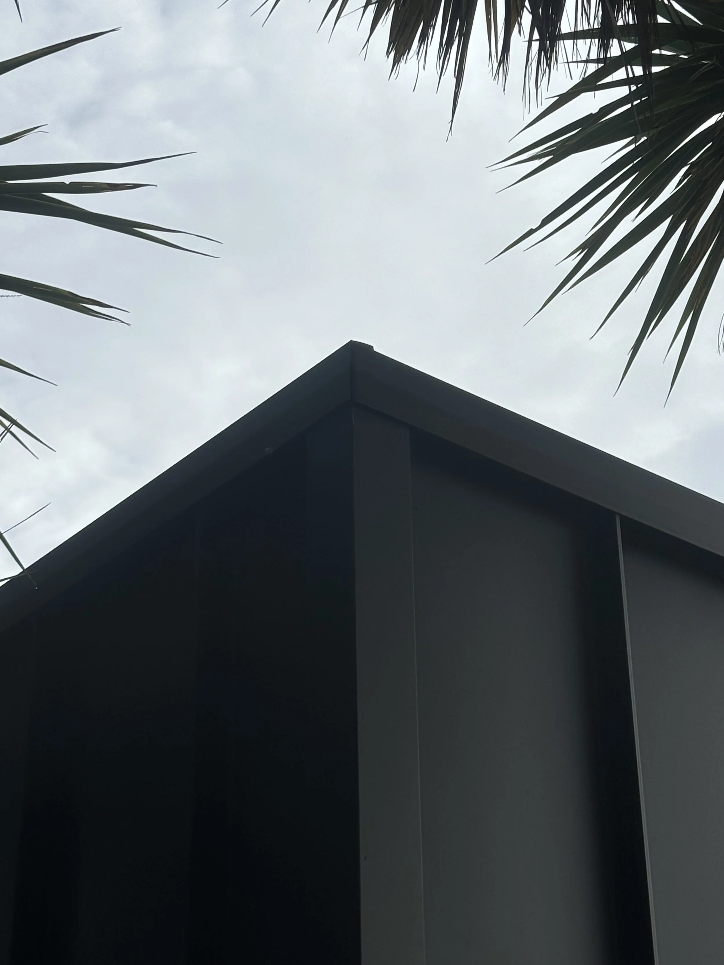 Close-up of the corner of a modern black building with palm tree leaves in the foreground and an overcast sky in the background.