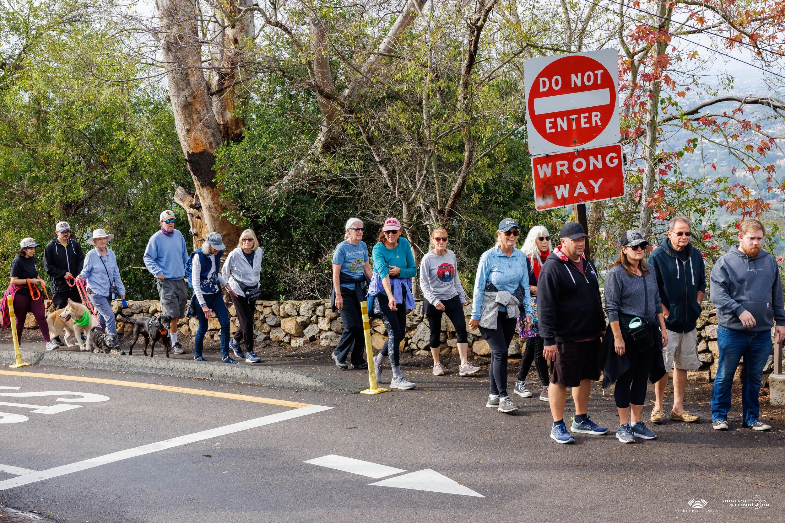 A group of people standing in line on a sidewalk next to a stone wall, with some holding dogs on leashes, next to a large and tall 