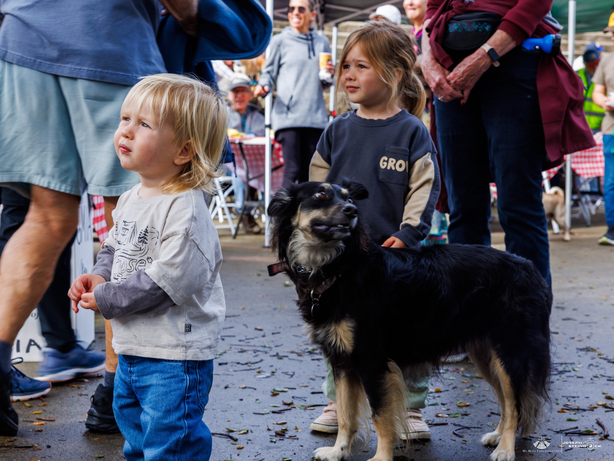 Two young children and a black and tan dog at an outdoor event. The boy in the foreground has blonde hair and is looking up. The girl behind him is holding the dog and is wearing a dark sweatshirt. Several people are in the background, some with drin