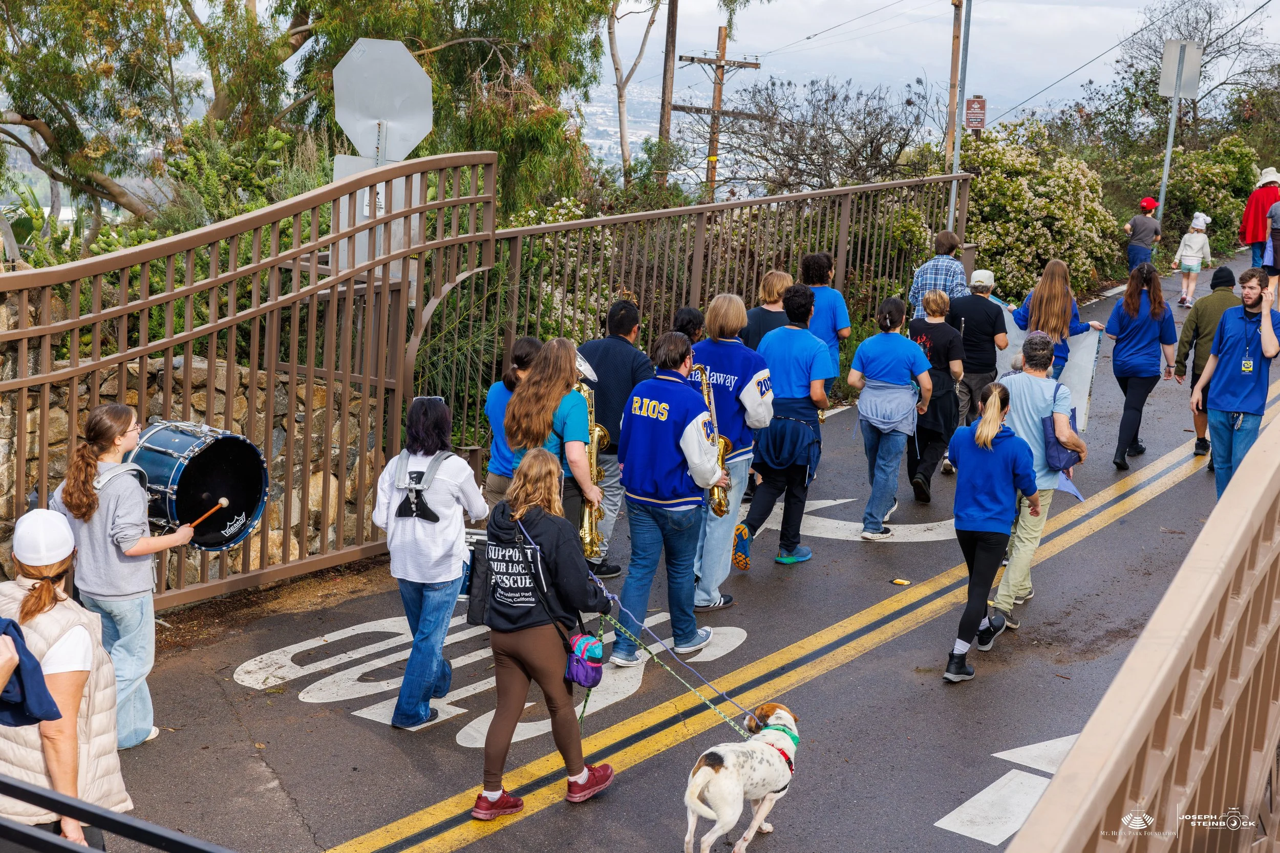 A group of people walking along a city street with a sidewalk, some wearing blue jackets, some holding umbrellas, and a woman walking a dog. There is a band playing instruments, including a saxophone and drum, and trees and utility poles in the backg
