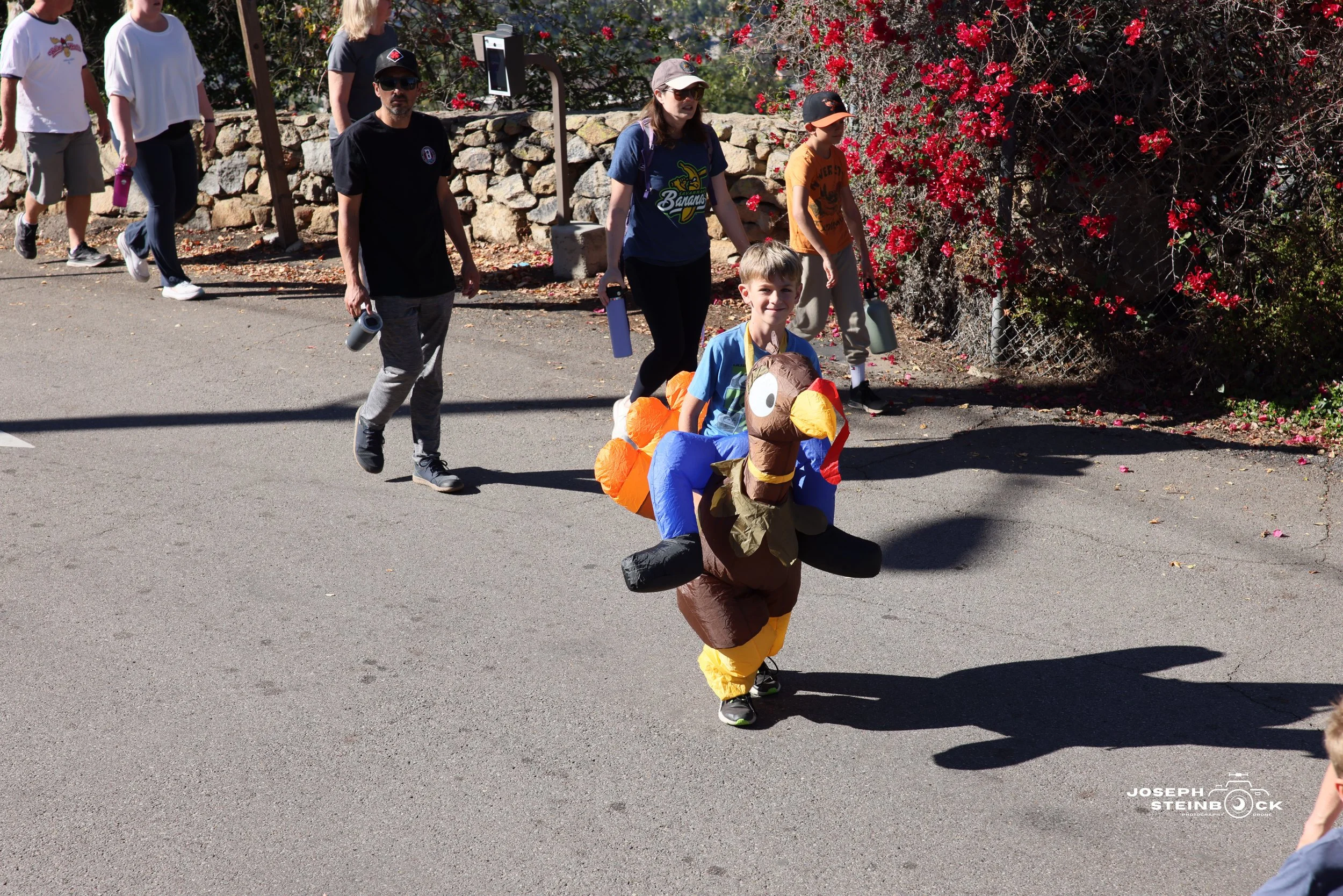 A young boy dressed in a turkey costume rides on a person dressed as a turkey, participating in a parade with several observers walking behind them.