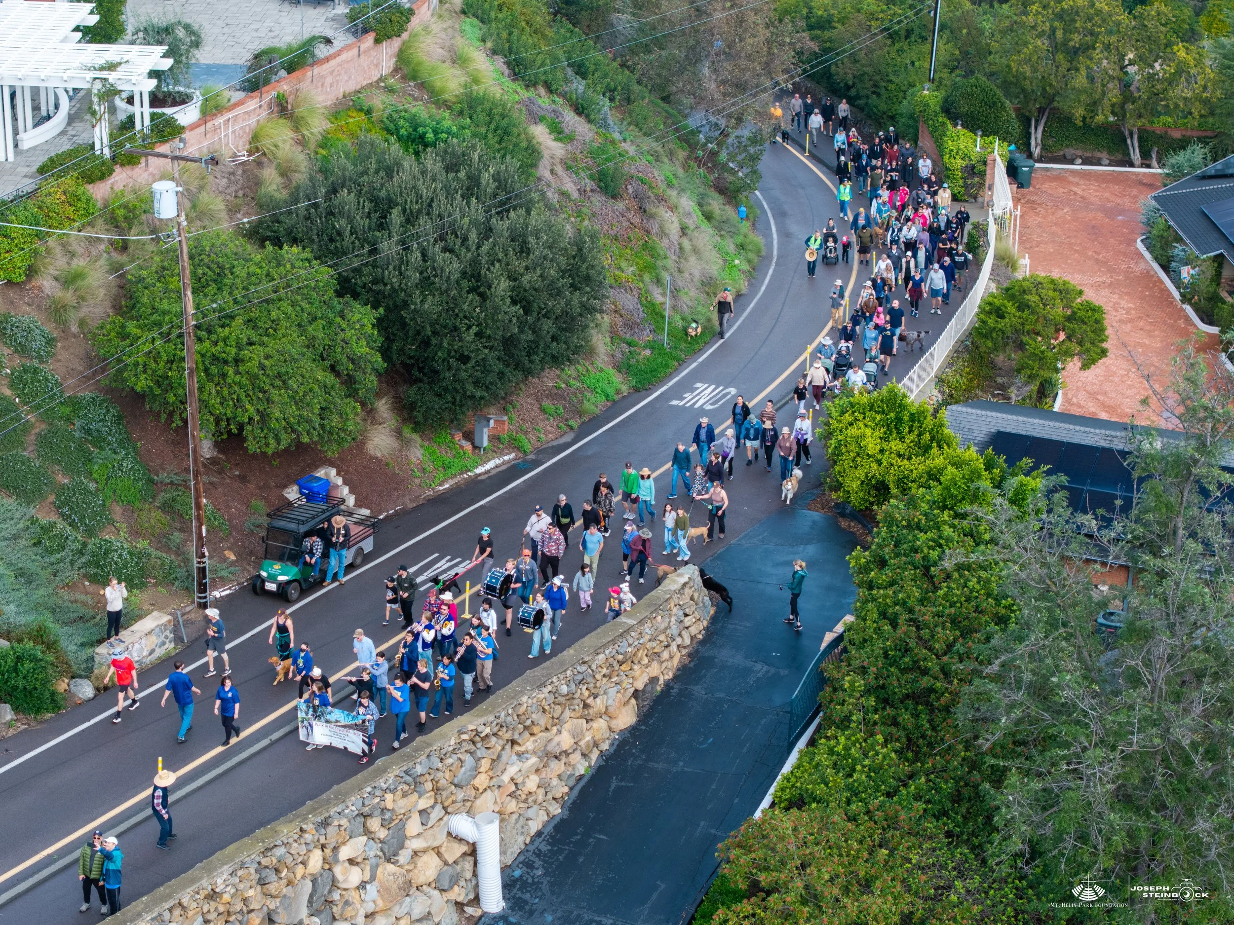 A large group of people walking on a winding street during a protest or march. Some participants are carrying a banner, and a few dogs are present. The street is lined with greenery, trees, and houses.