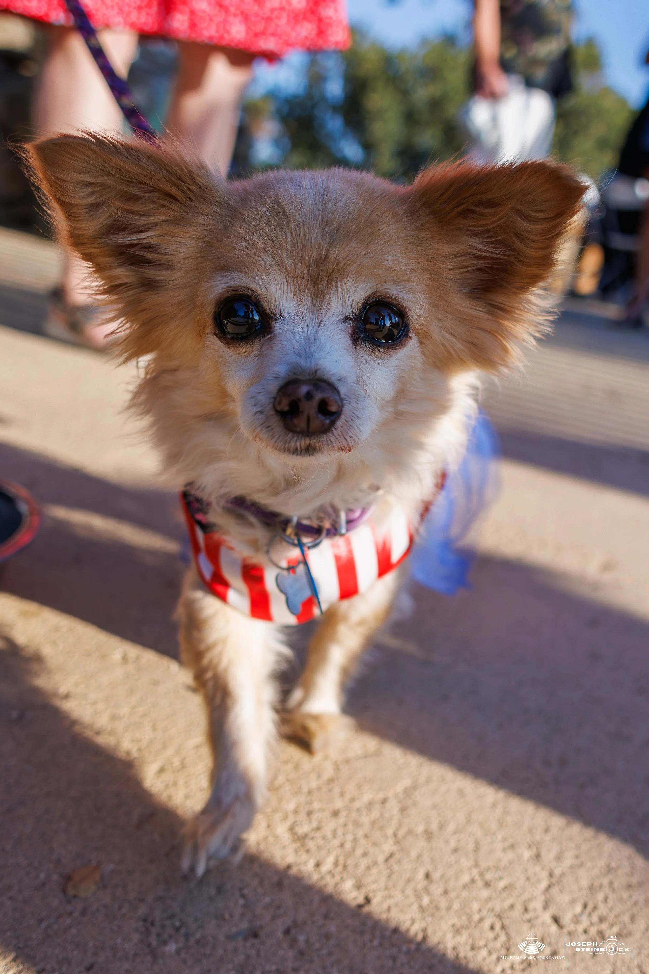 IMGL7443.jpg