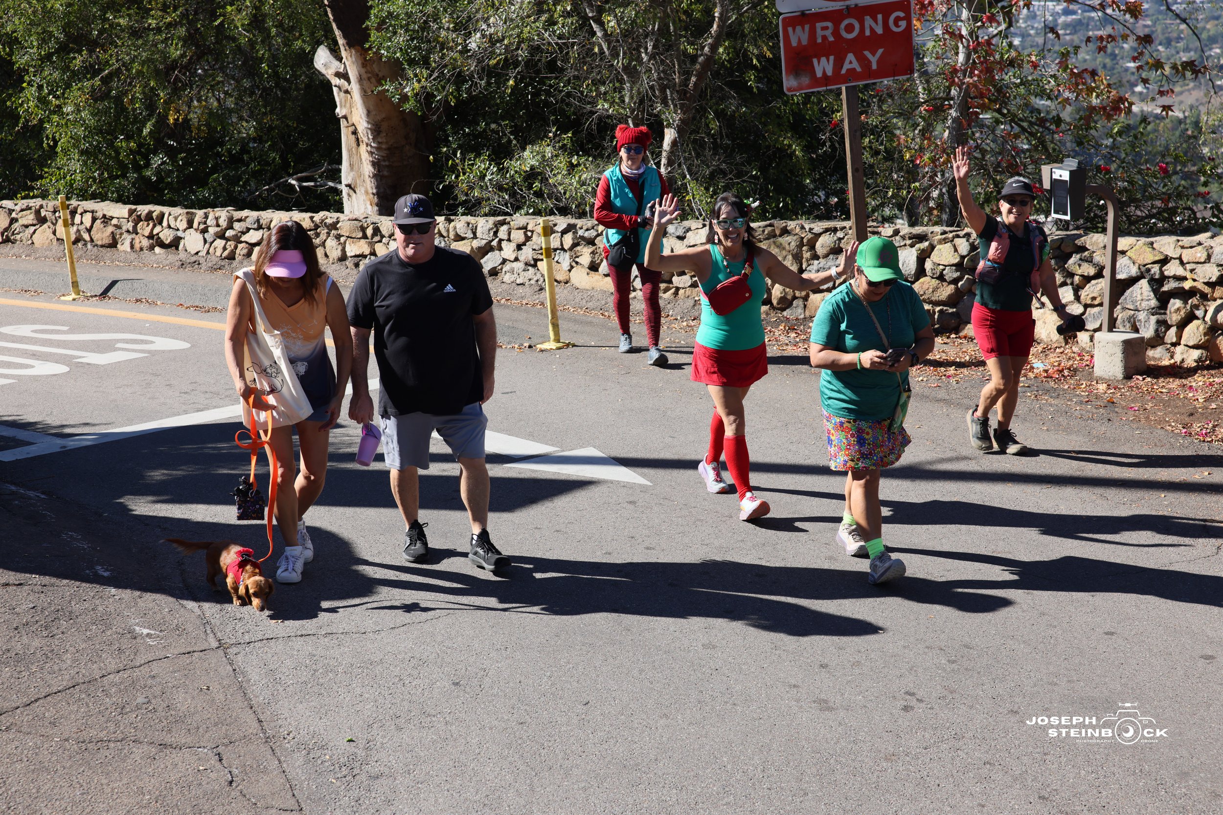 A group of six people crossing a street with a 'Wrong Way' sign, including a woman walking a small dog and five people waving. Some are wearing colorful outfits and sunglasses, with one person using a smartphone. The street has a stone wall and trees