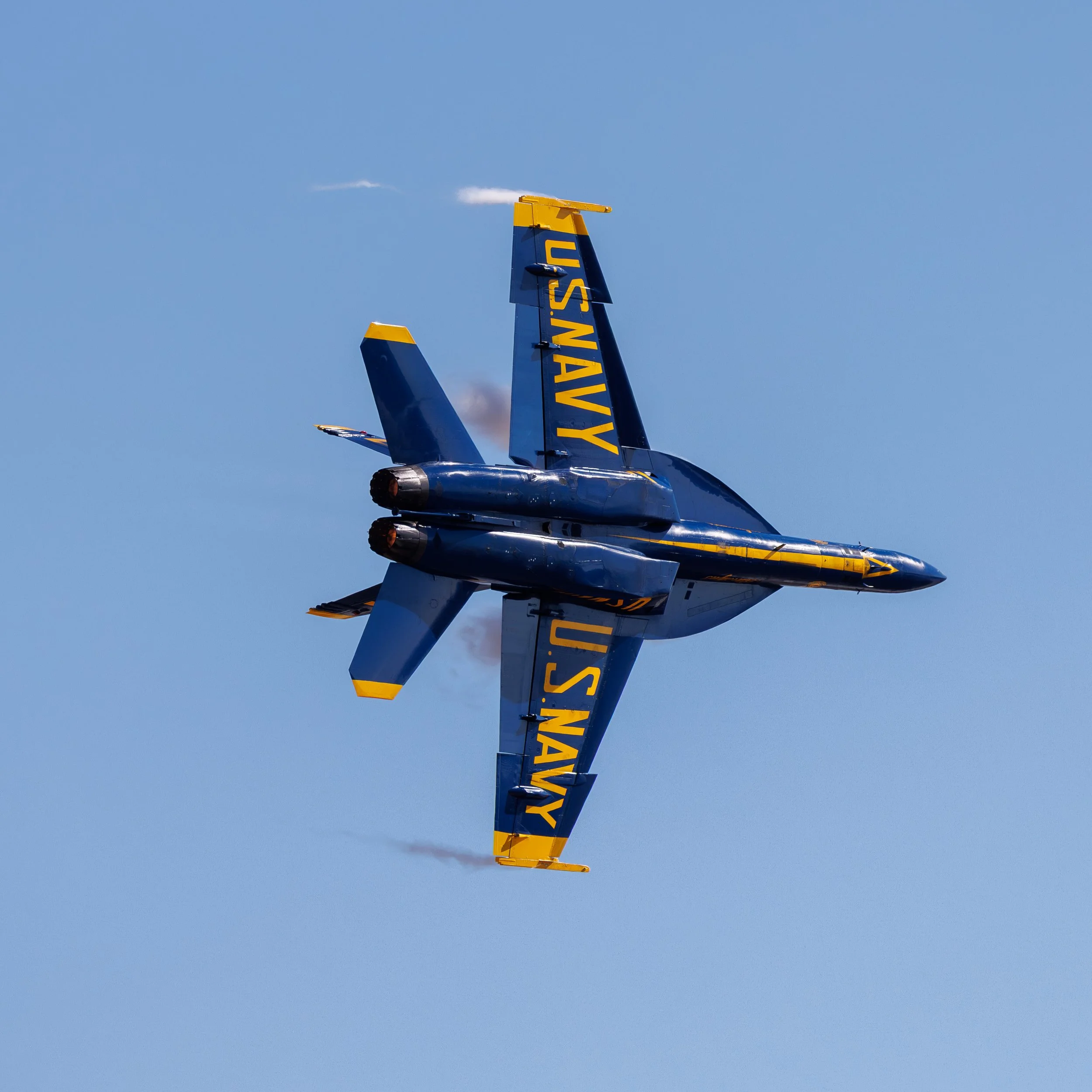 IMGL5873.jpg