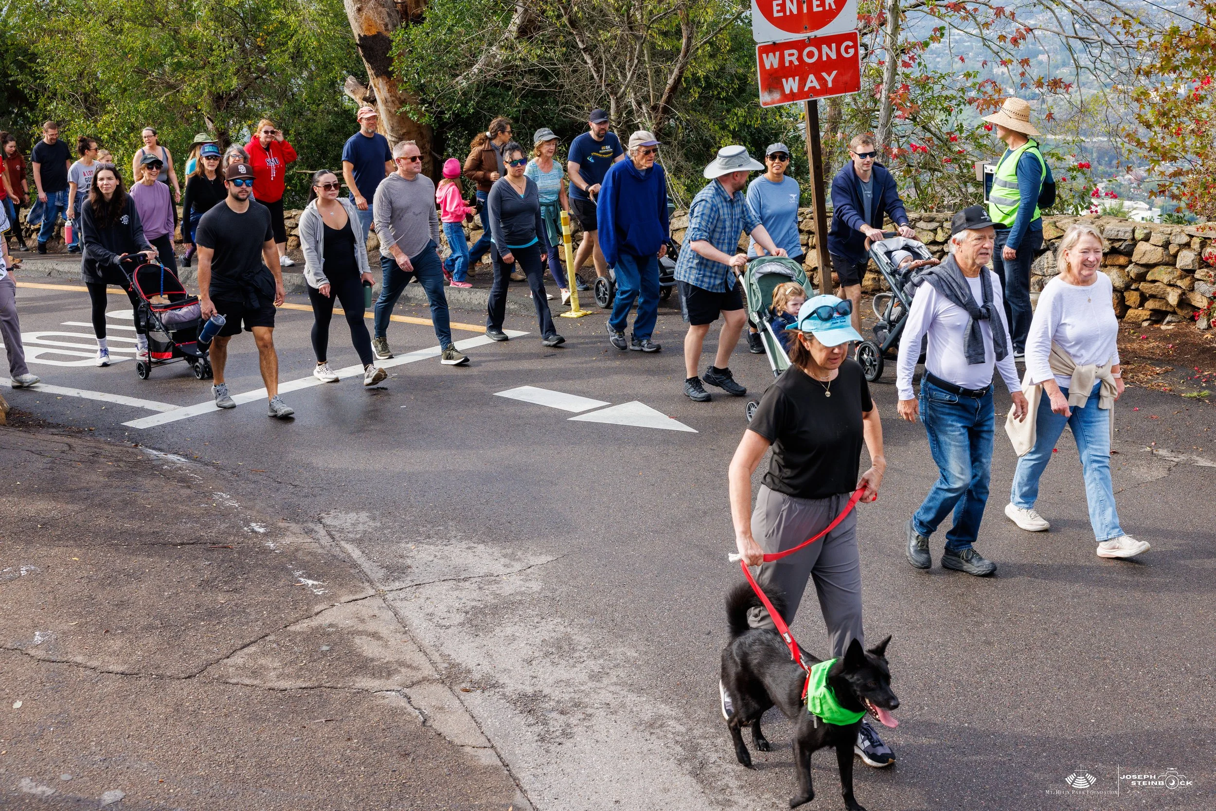 People walking across a street during a parade or protest, some pushing strollers and others walking with pets, with trees and signs in the background.