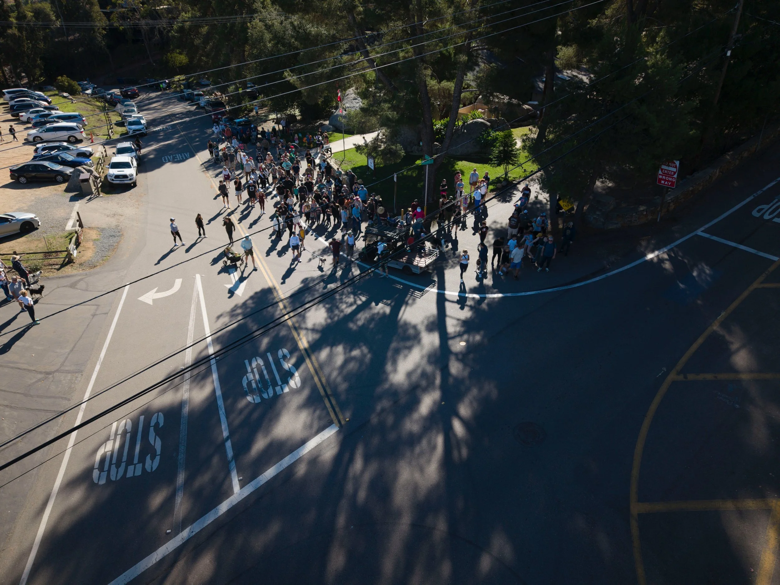 A line of people waiting outside in a wooded area next to a parking lot, seen from above on a sunny day.