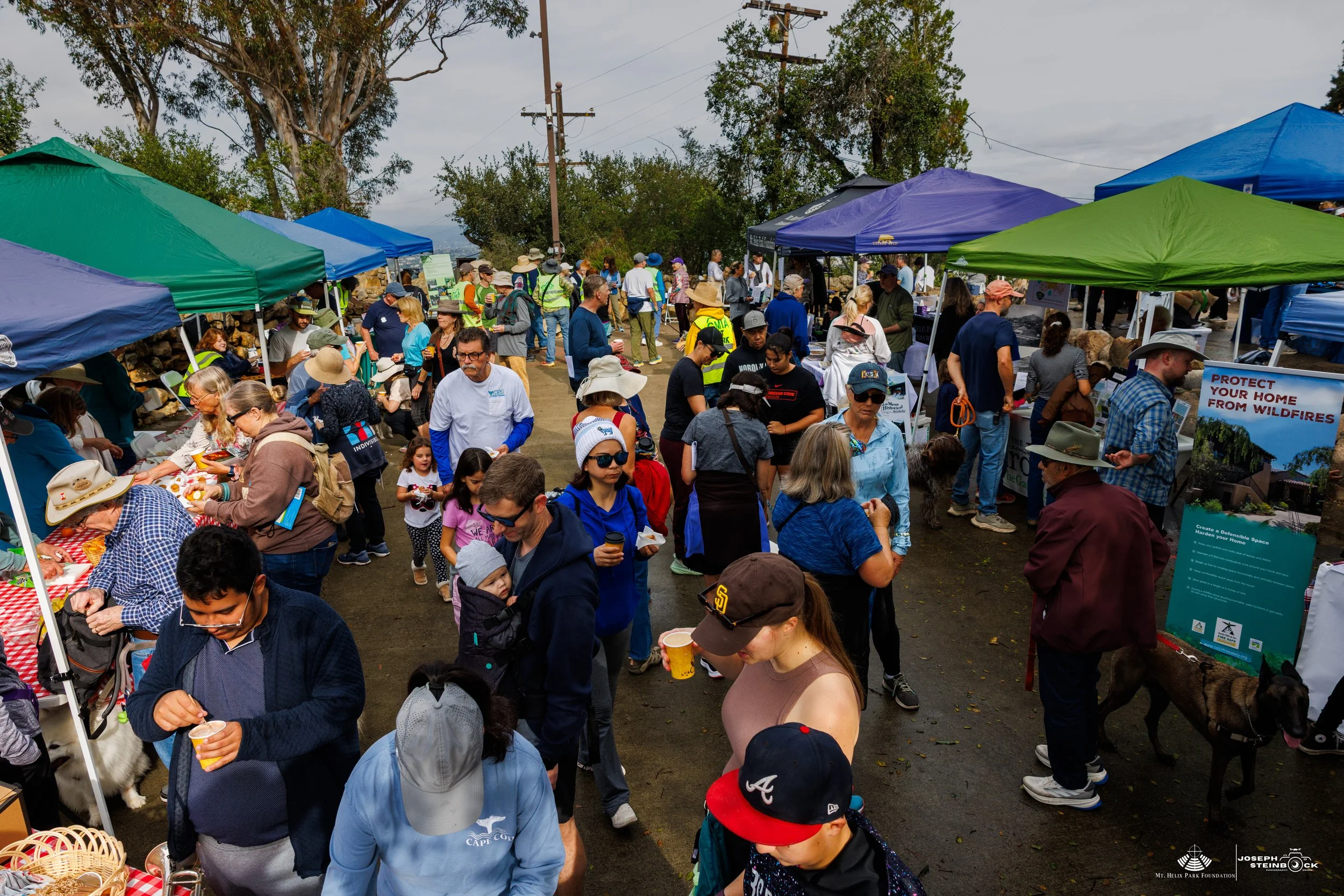 Crowd of people at an outdoor market or fair with colorful tents and informational booths on a cloudy day.